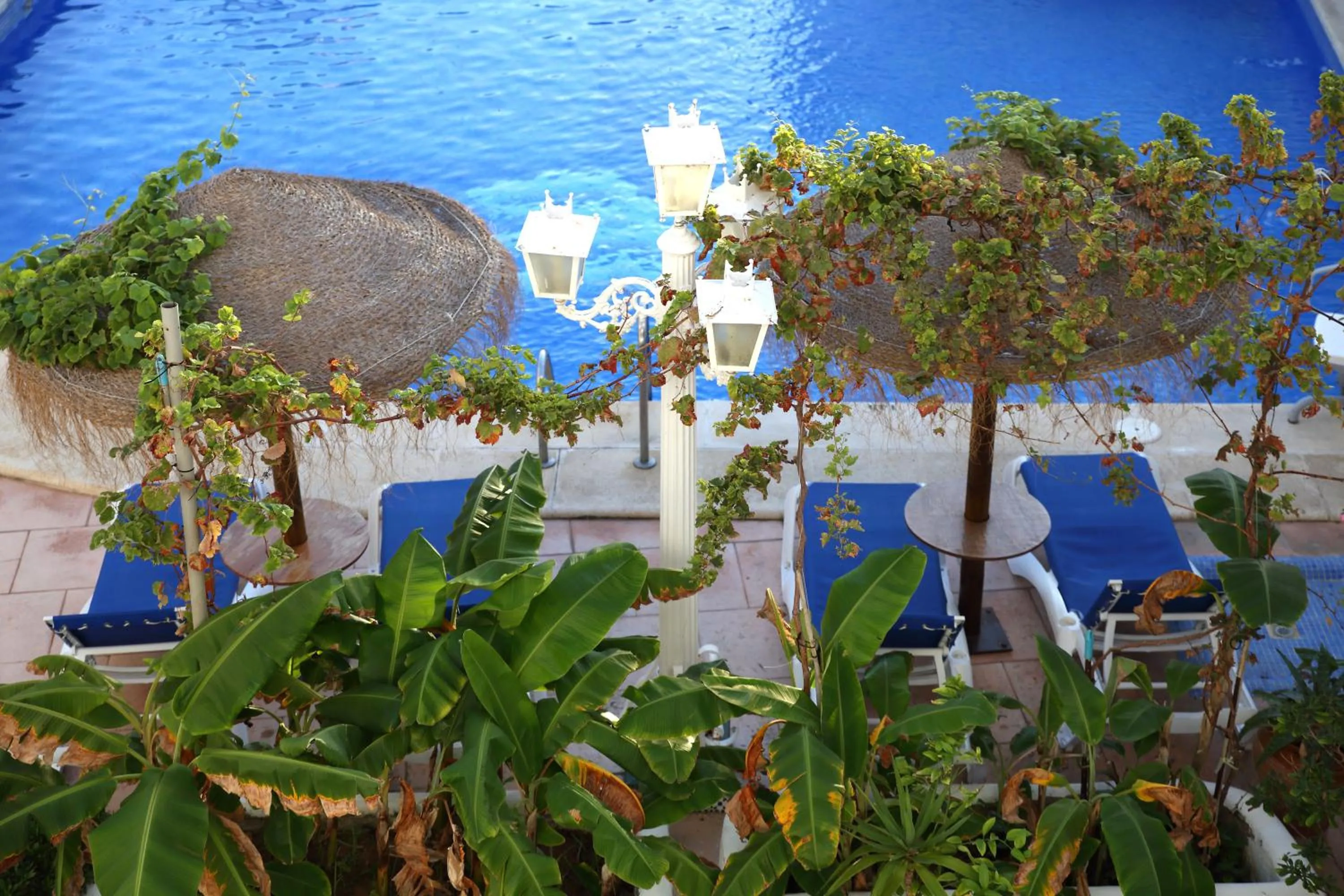 Swimming pool in Brasilia