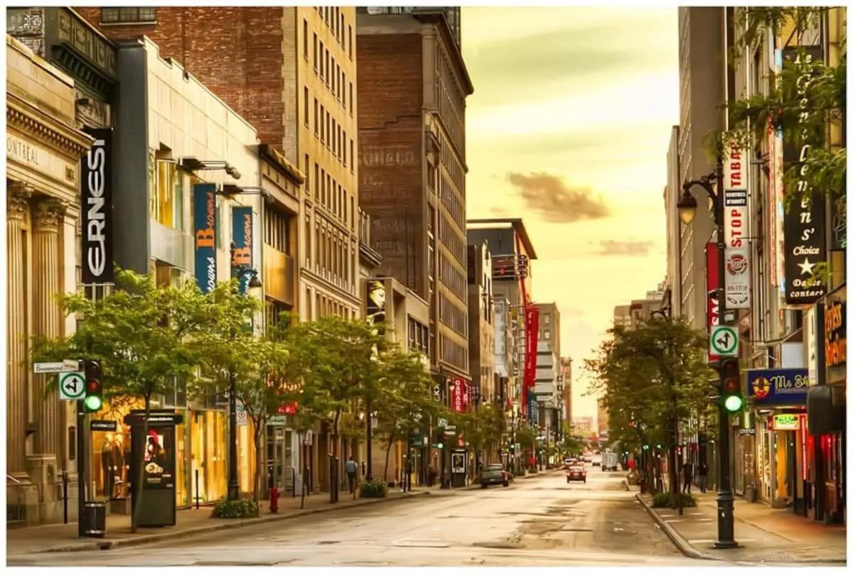 M11 The Star Wars Suite 3BR Downtown