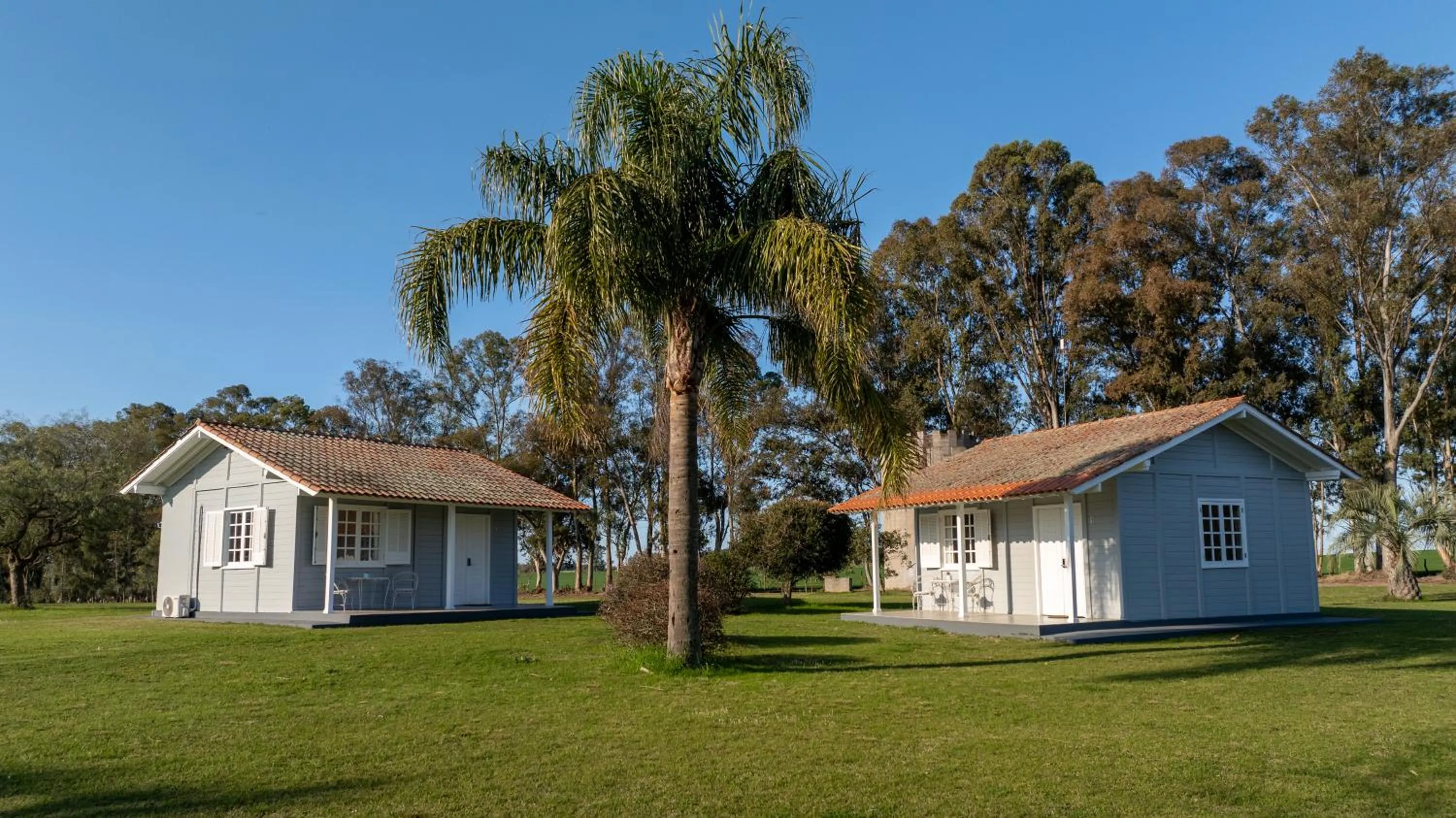 Garden view in Finca del Sacramento