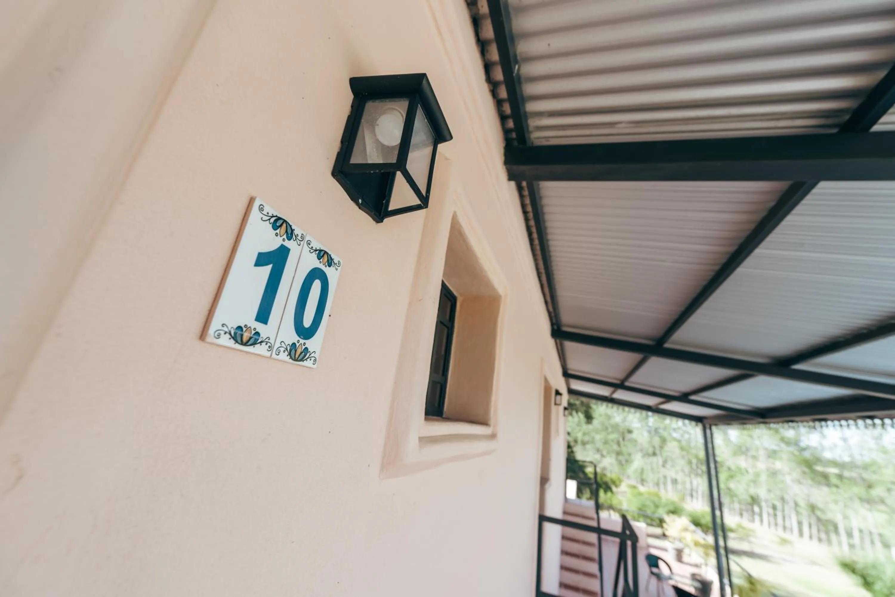 Day in Finca del Sacramento