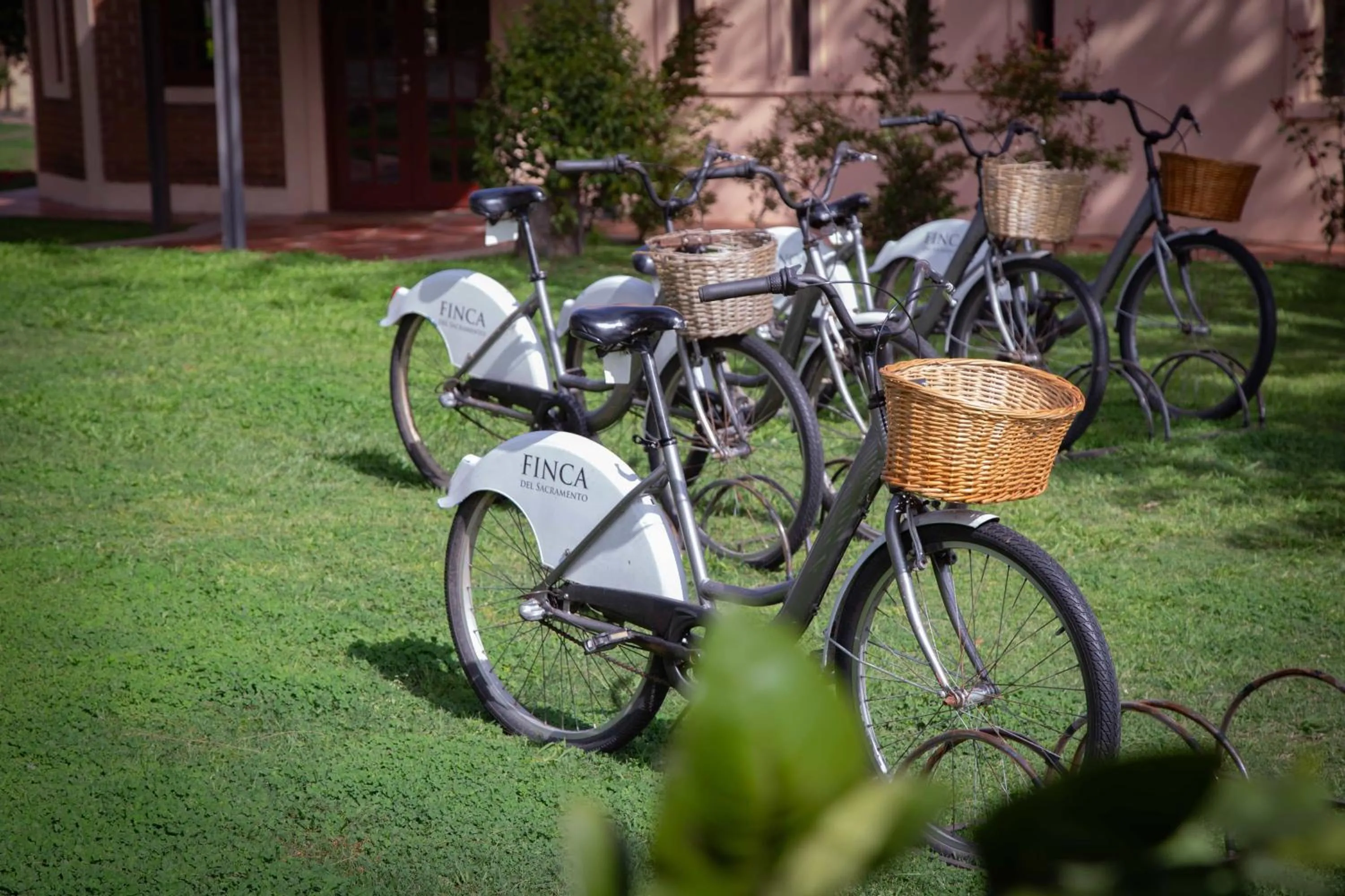 Cycling in Finca del Sacramento