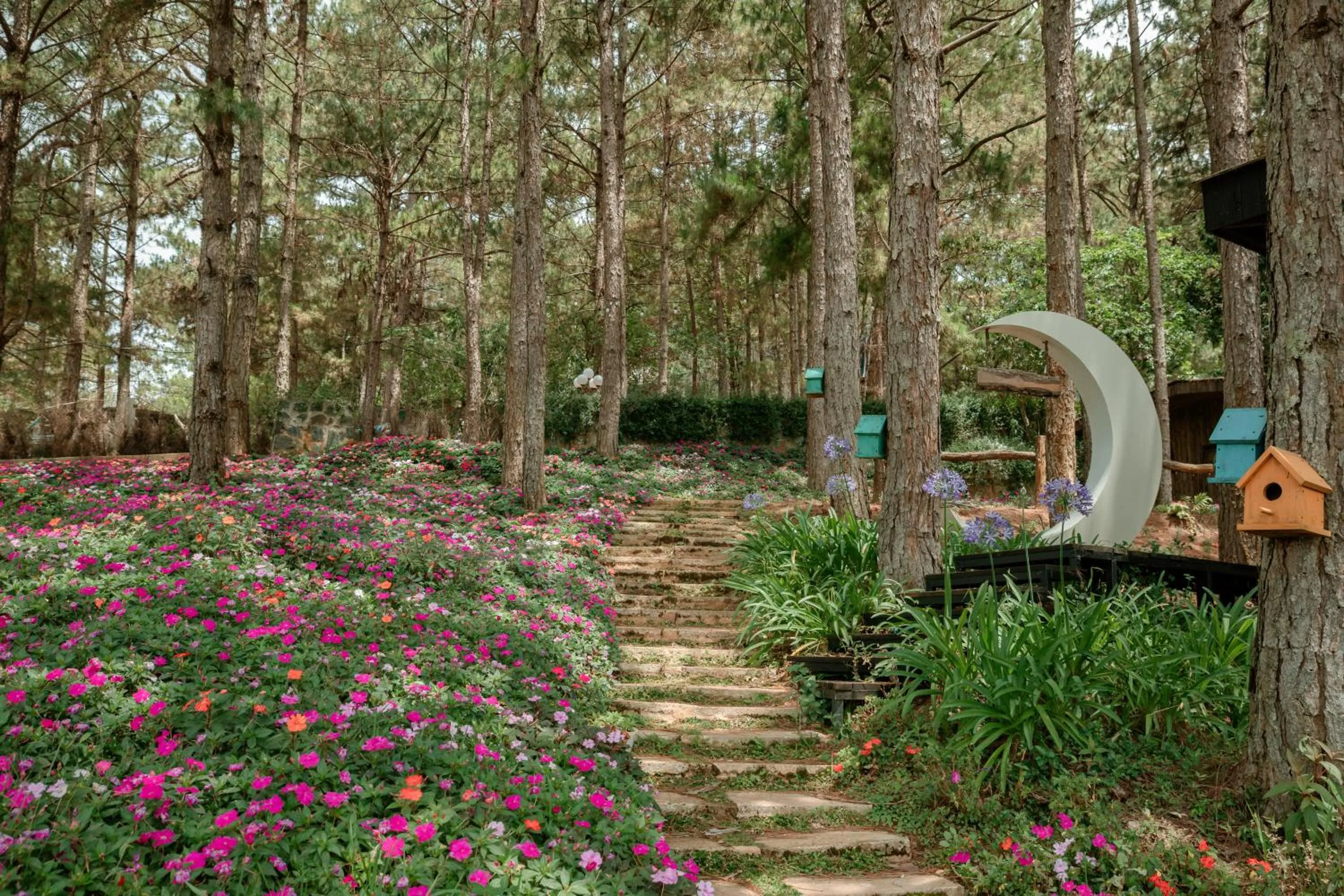 Spring in Lavender Dalat Hotel and Resorts