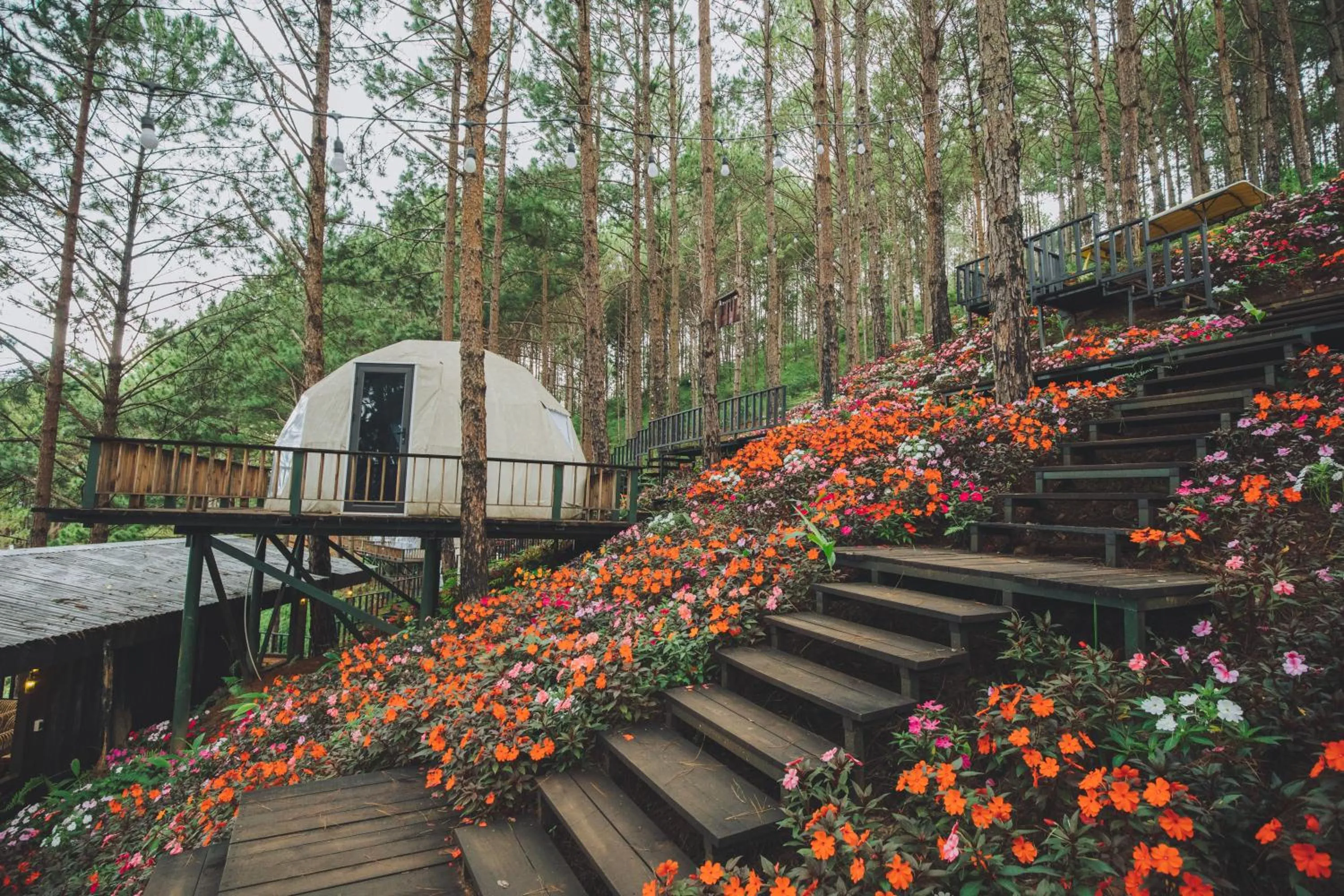 Garden in Lavender Dalat Hotel and Resorts