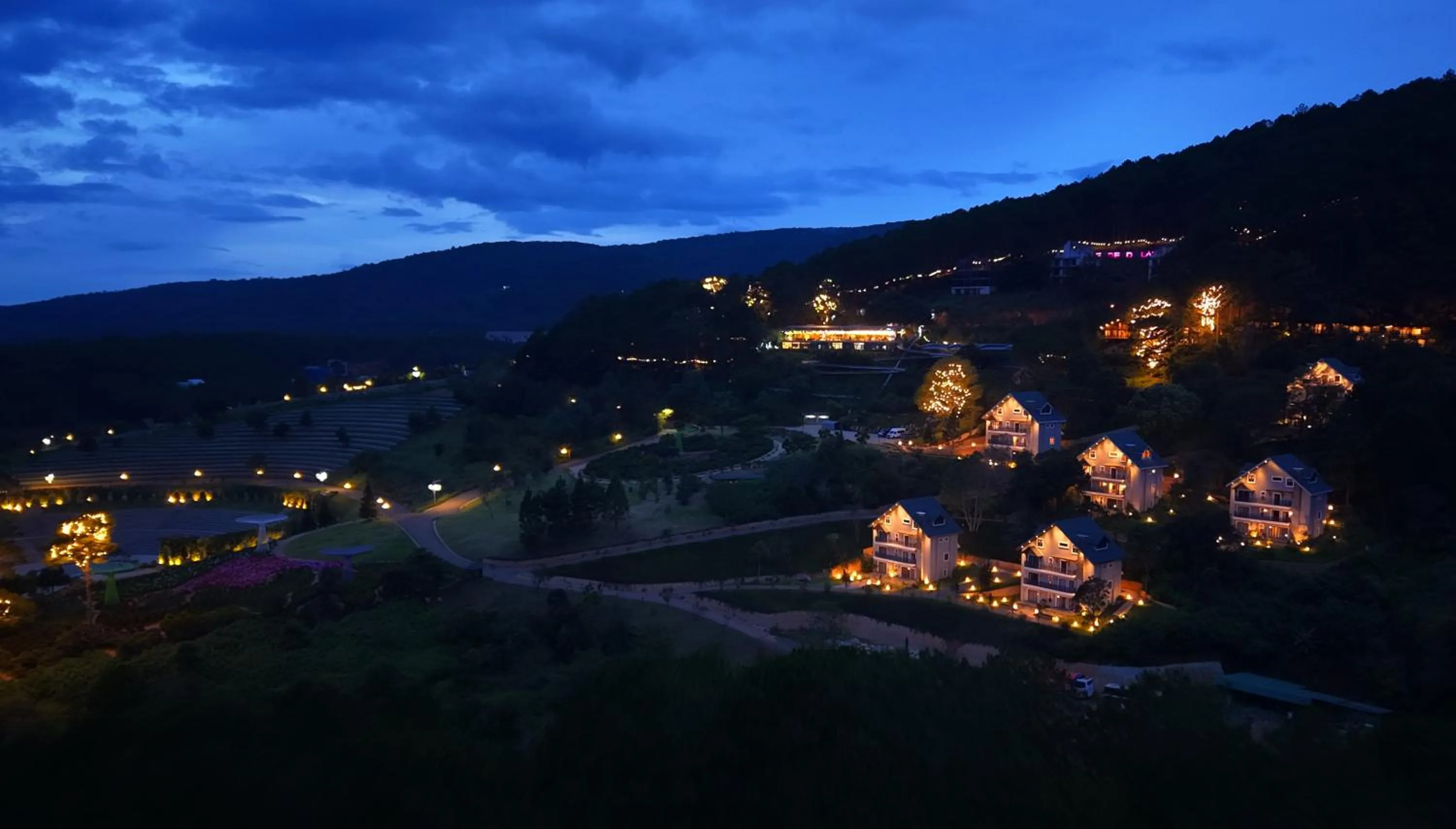 Night in Lavender Dalat Hotel and Resorts