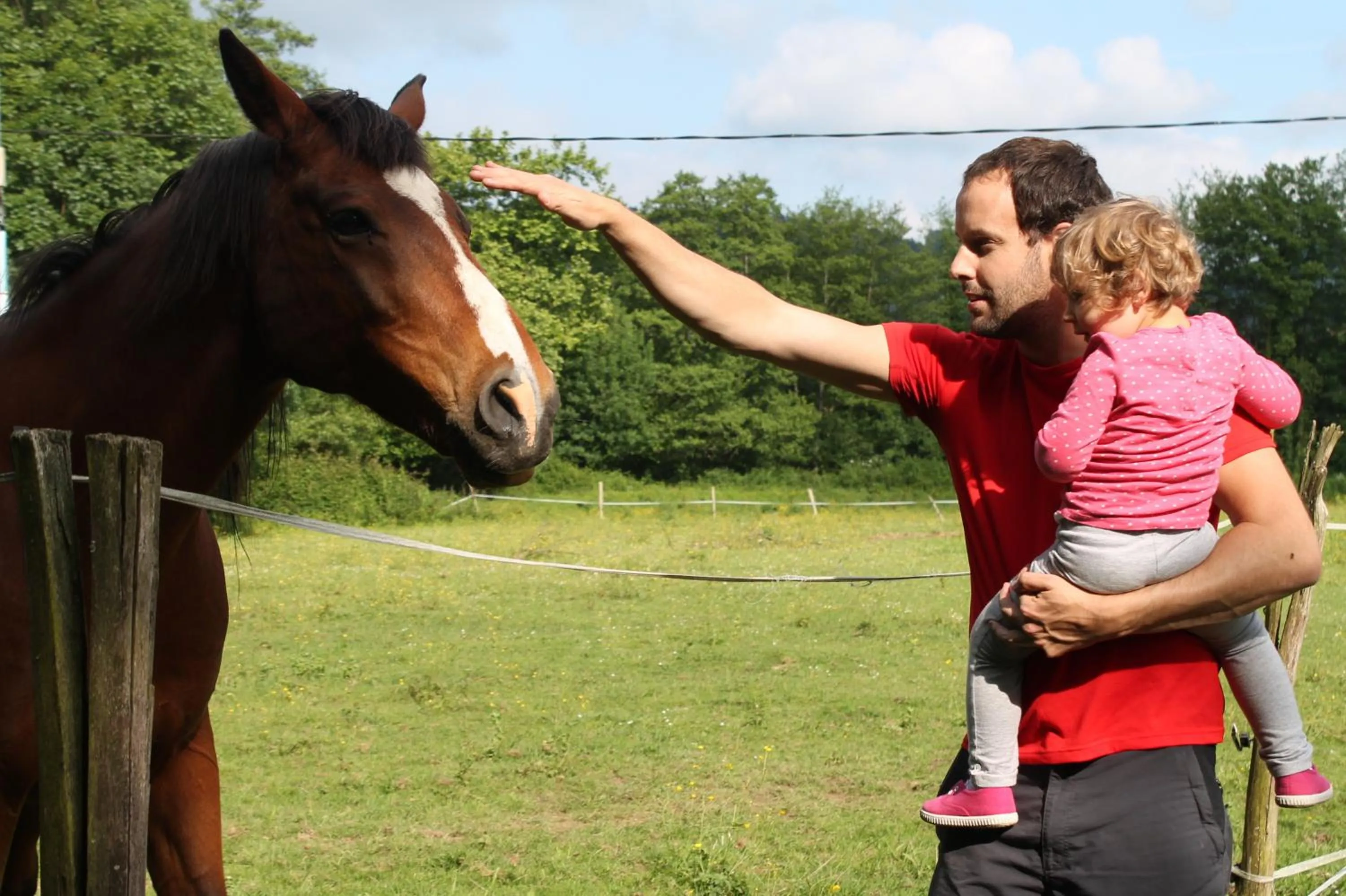 Day in Hotel Antsotegi