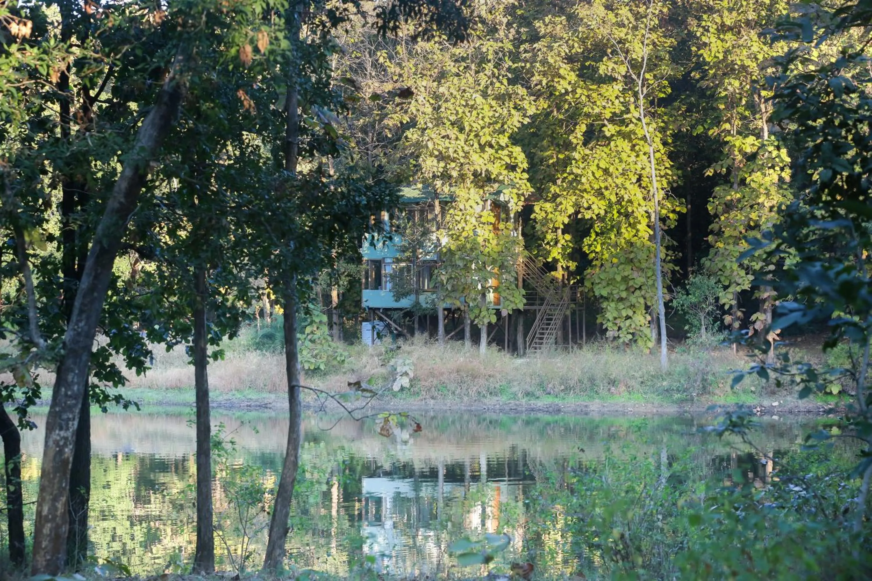 Lake view in Rukhad Jungle Camp - Pench