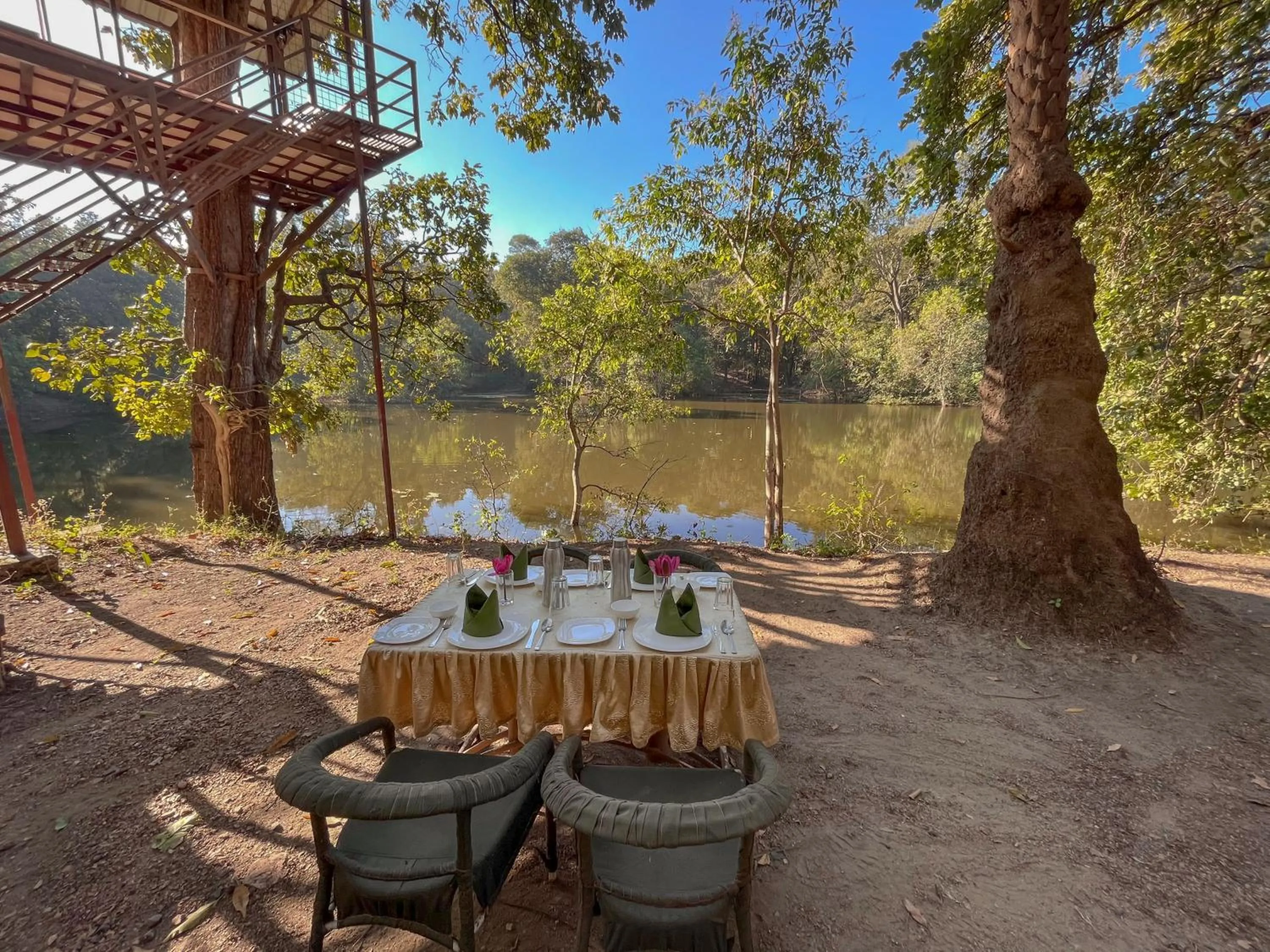 Day in Rukhad Jungle Camp - Pench