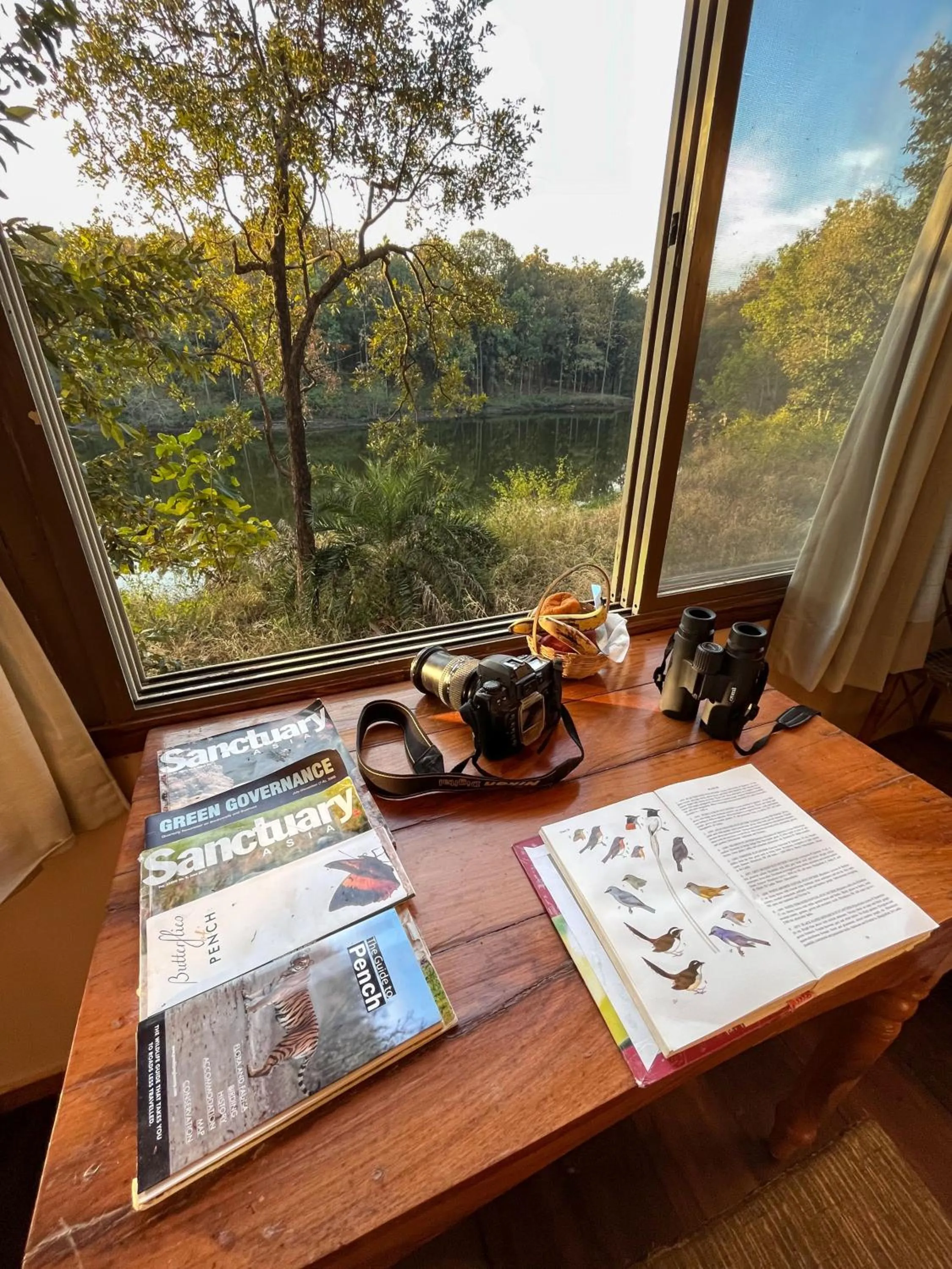 View (from property/room) in Rukhad Jungle Camp - Pench