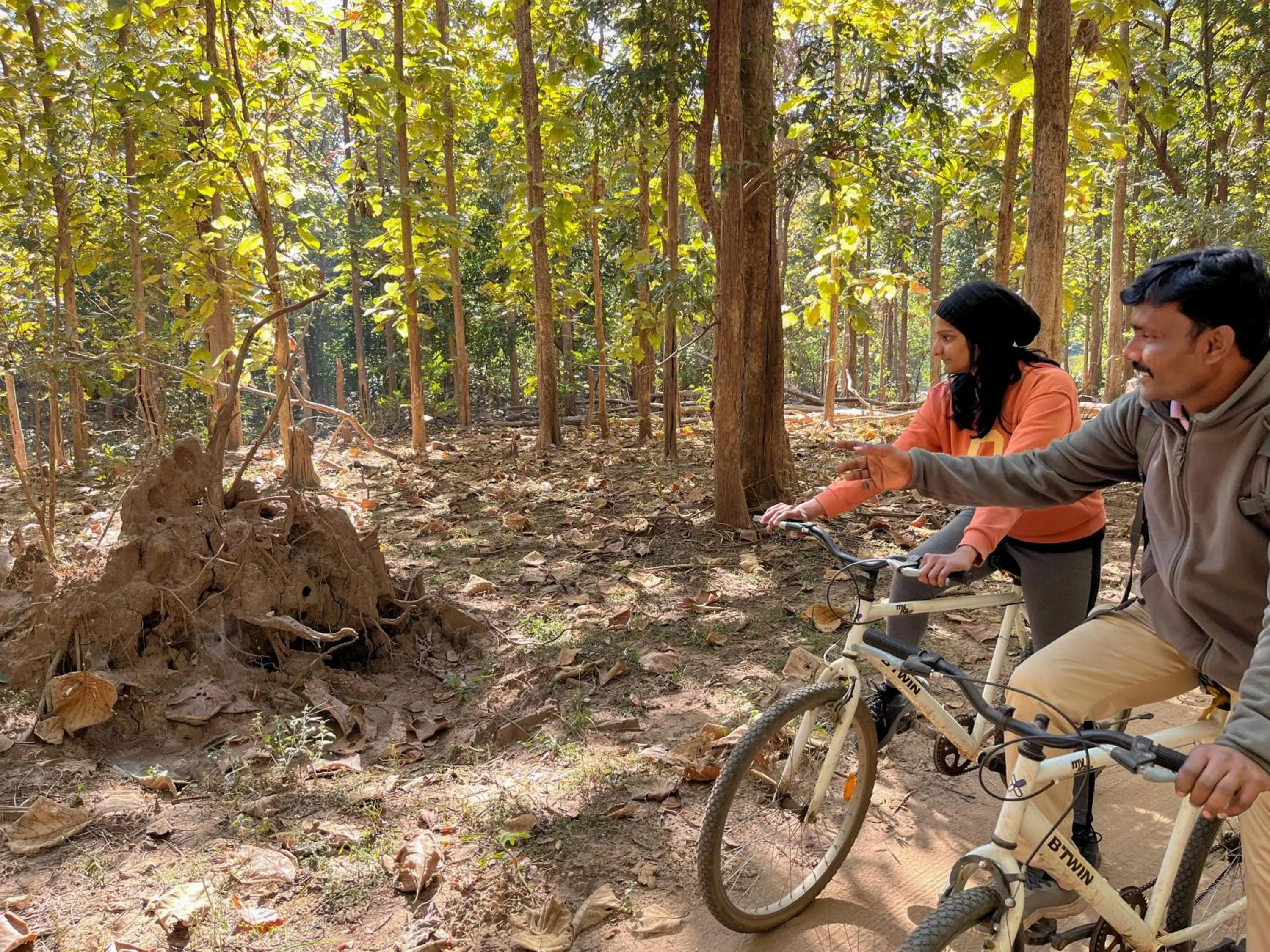 Day in Rukhad Jungle Camp - Pench