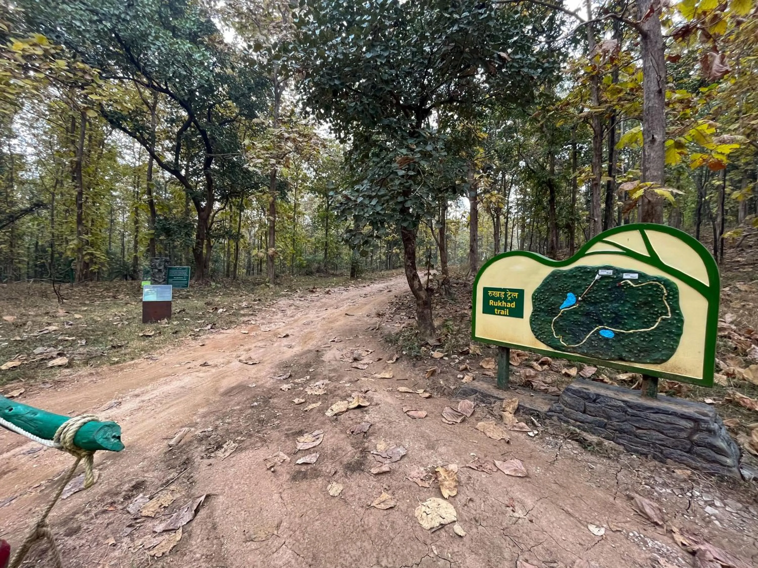 Day in Rukhad Jungle Camp - Pench