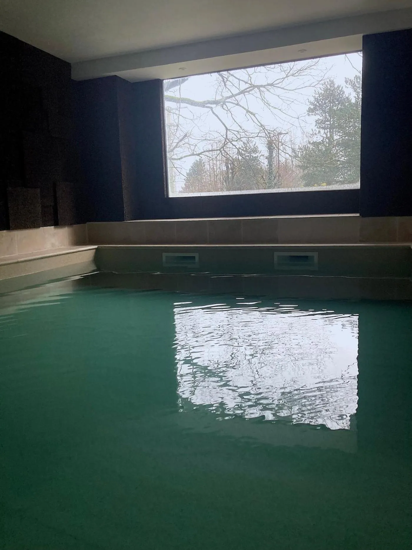 Swimming pool in Fleurs de lin