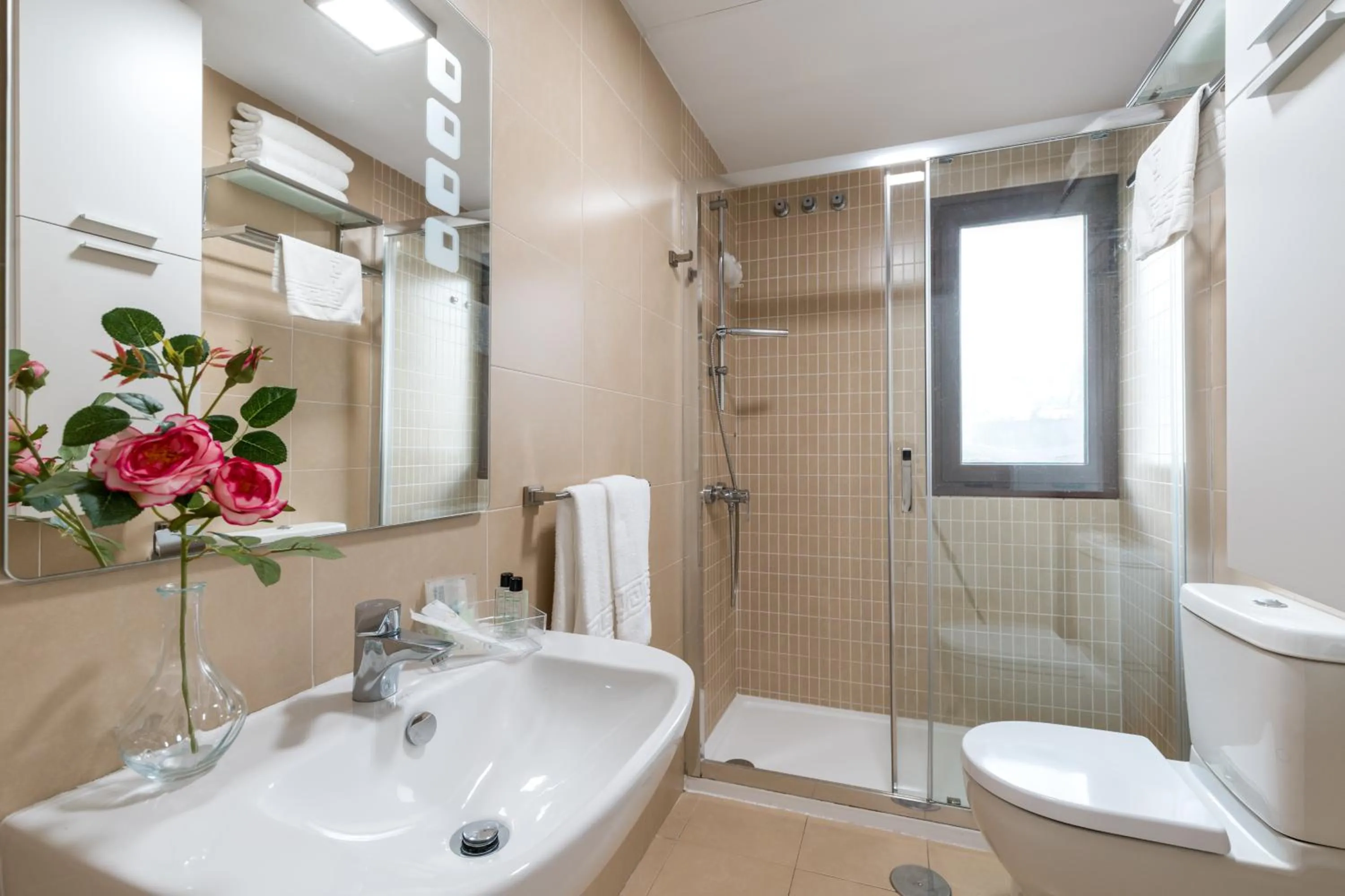 Shower in Hoteles del Sur