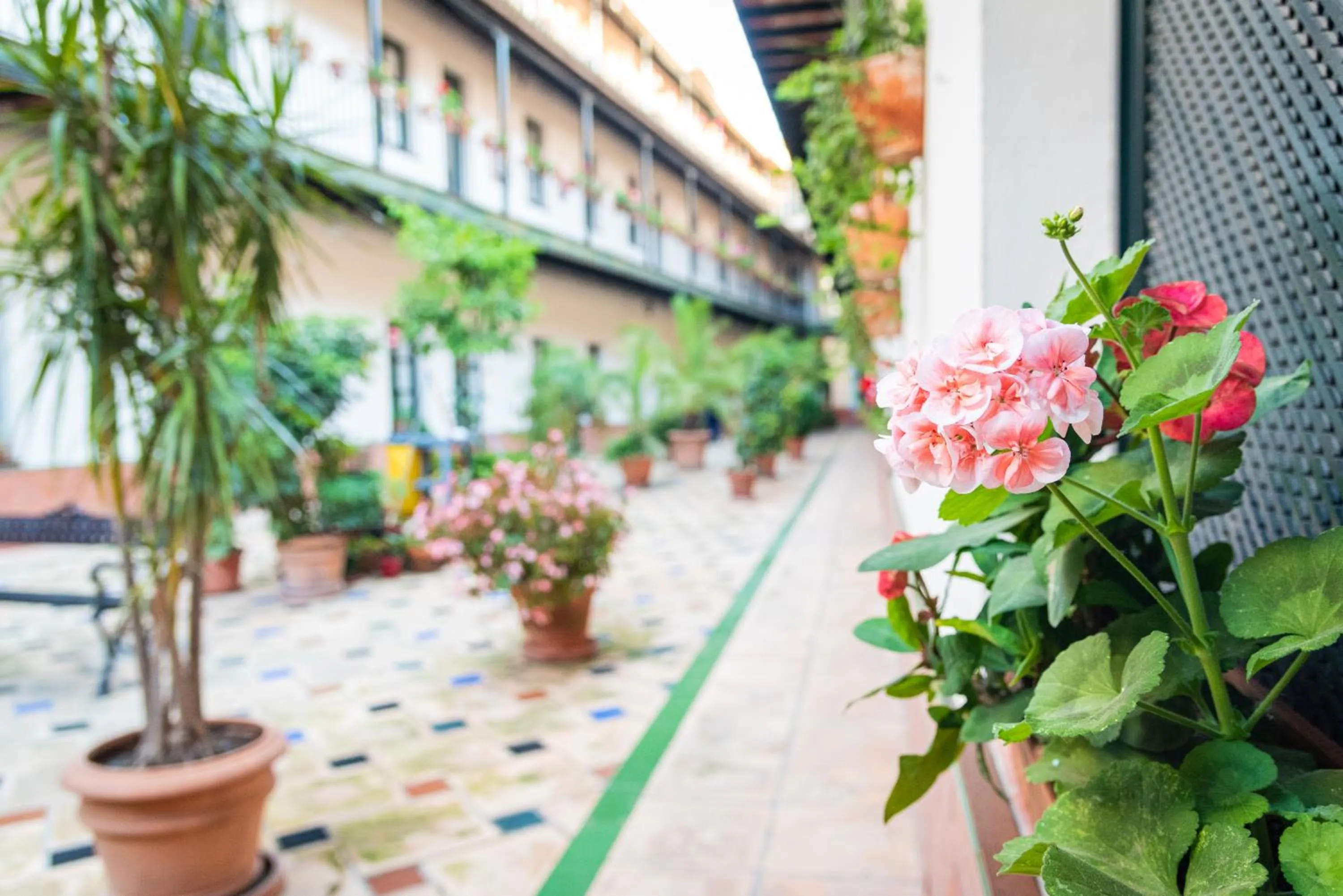 Patio in Hoteles del Sur