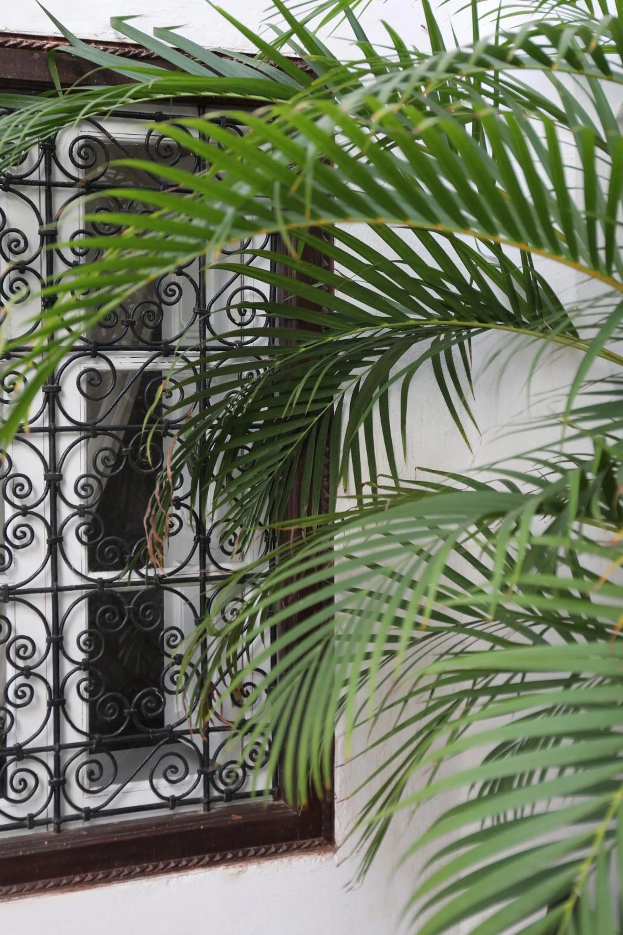 Day in Riad Noor Charana