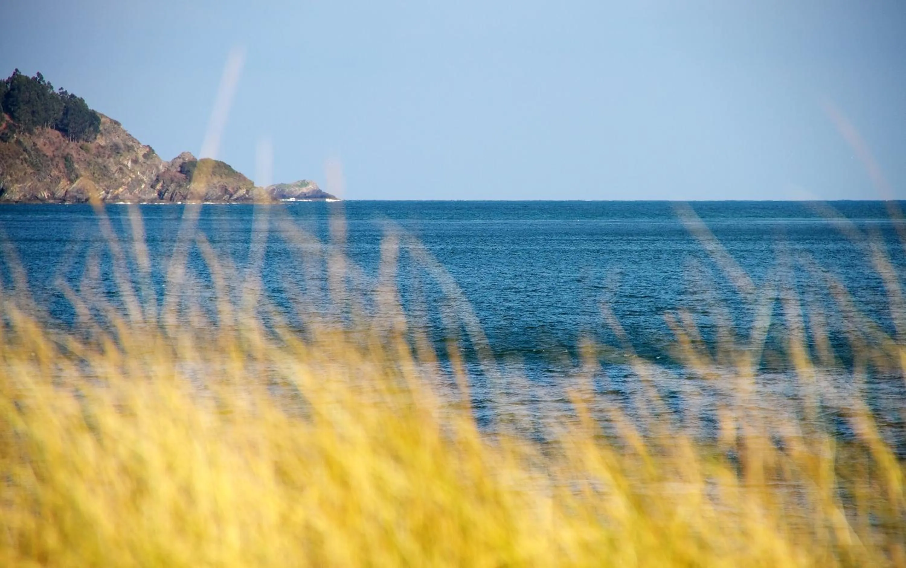 Beach in Duerming Park Viveiro