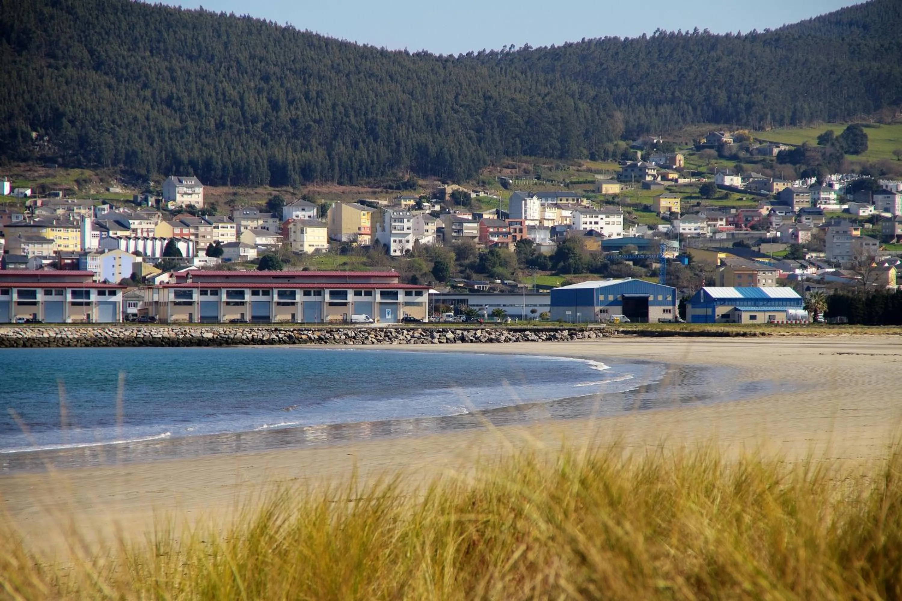 Beach in Duerming Park Viveiro