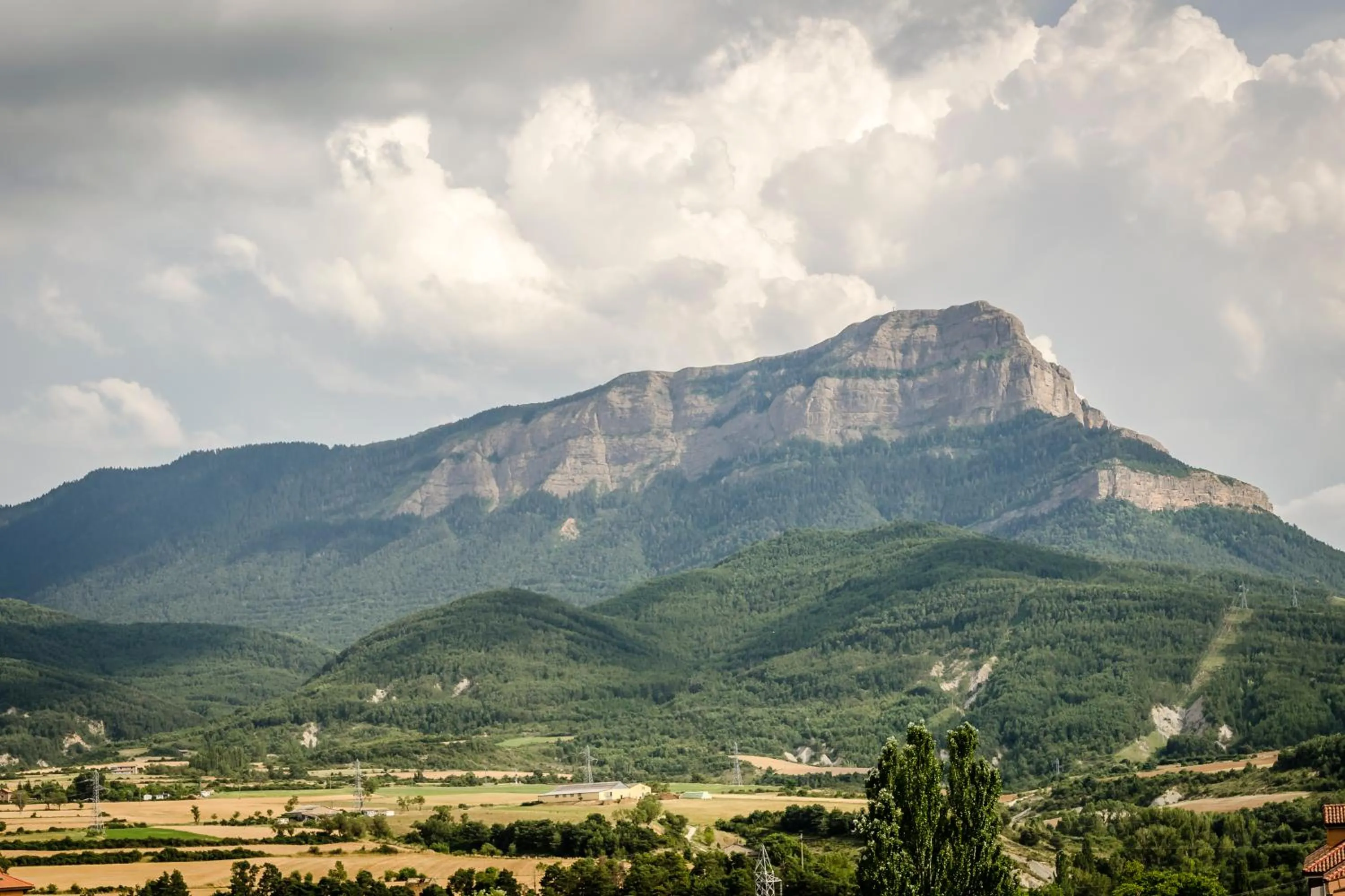 Natural landscape in Eurostars Reina Felicia