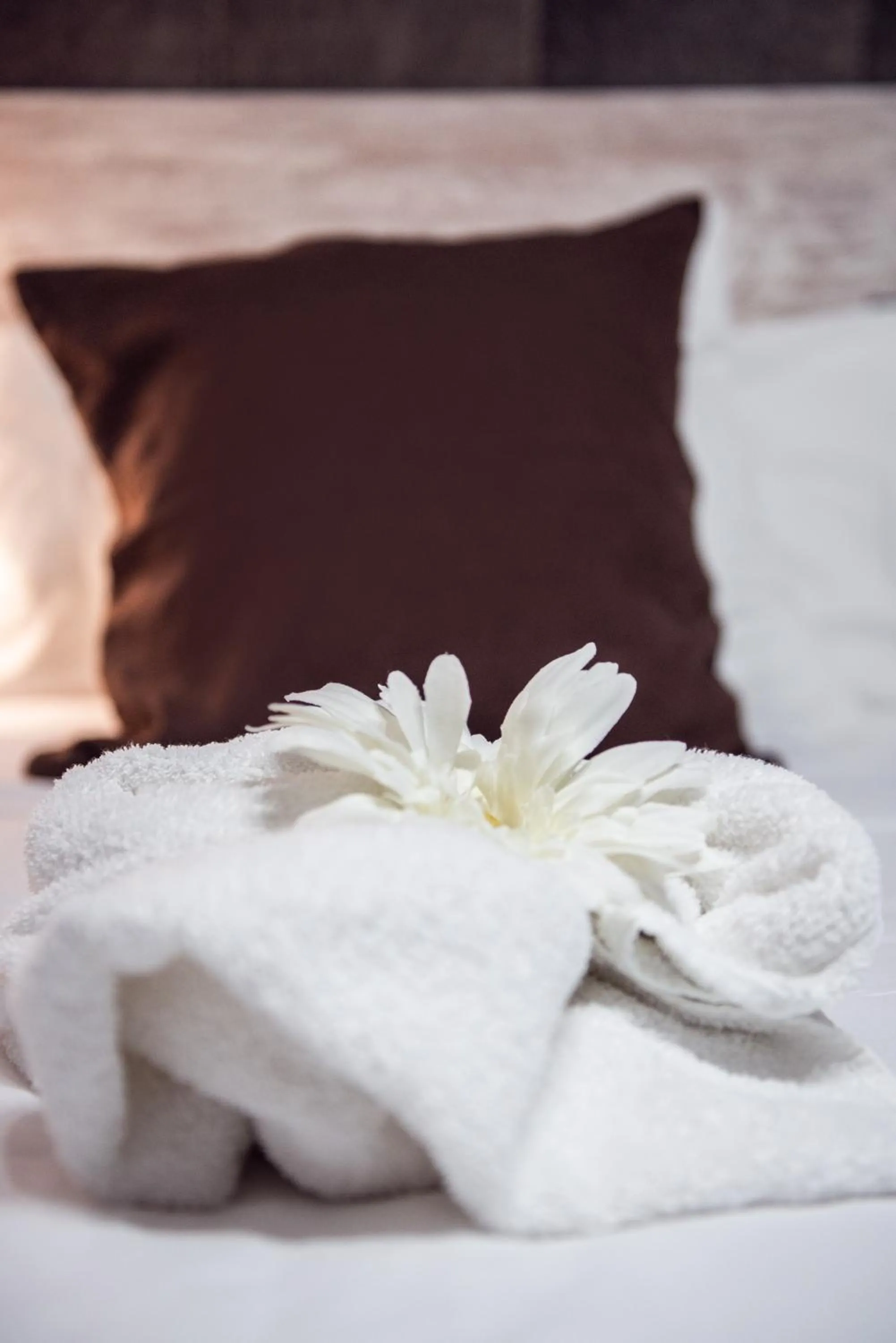 Other, Bed in Hotel Ancora