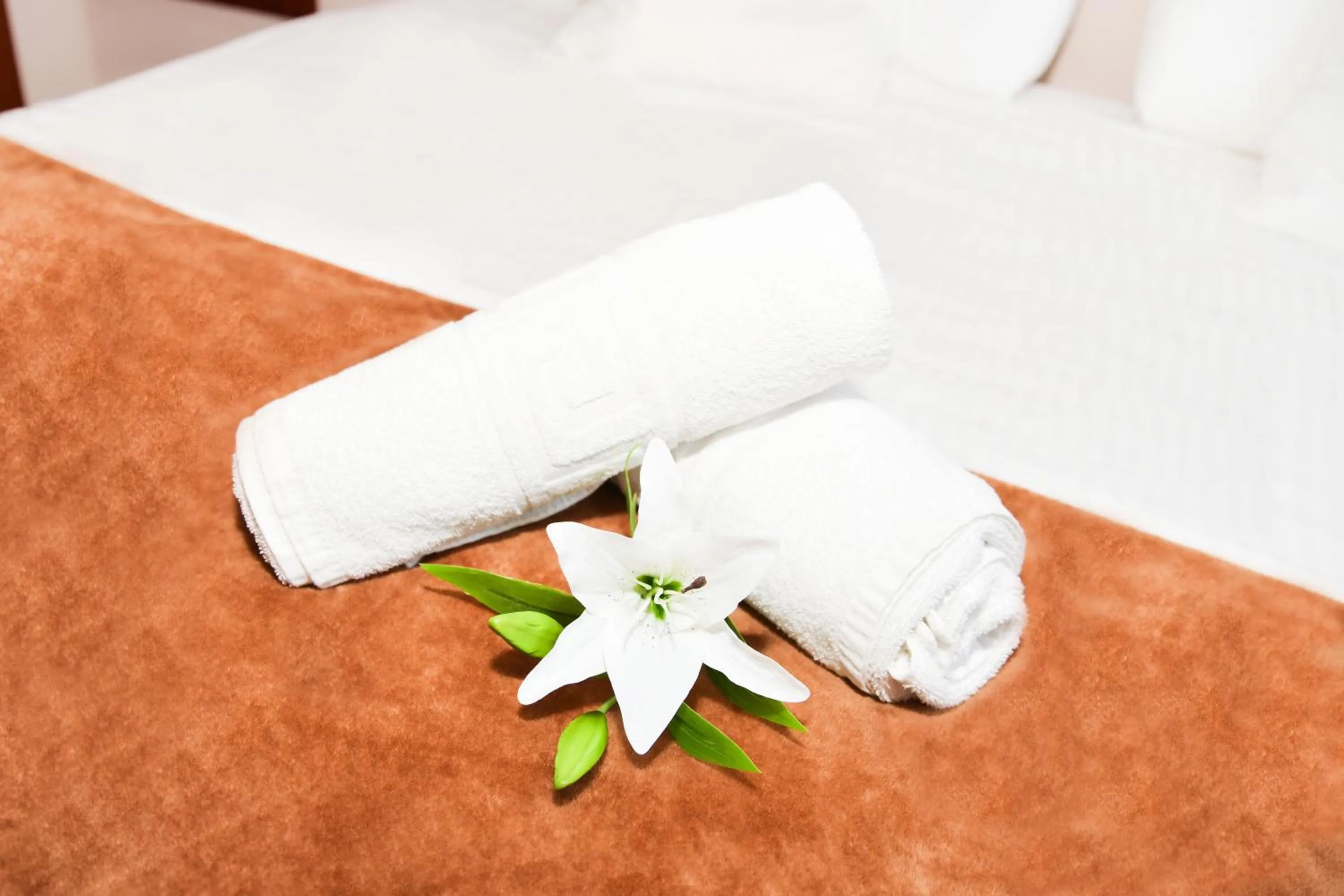 towels, Bed in Hotel Ancora