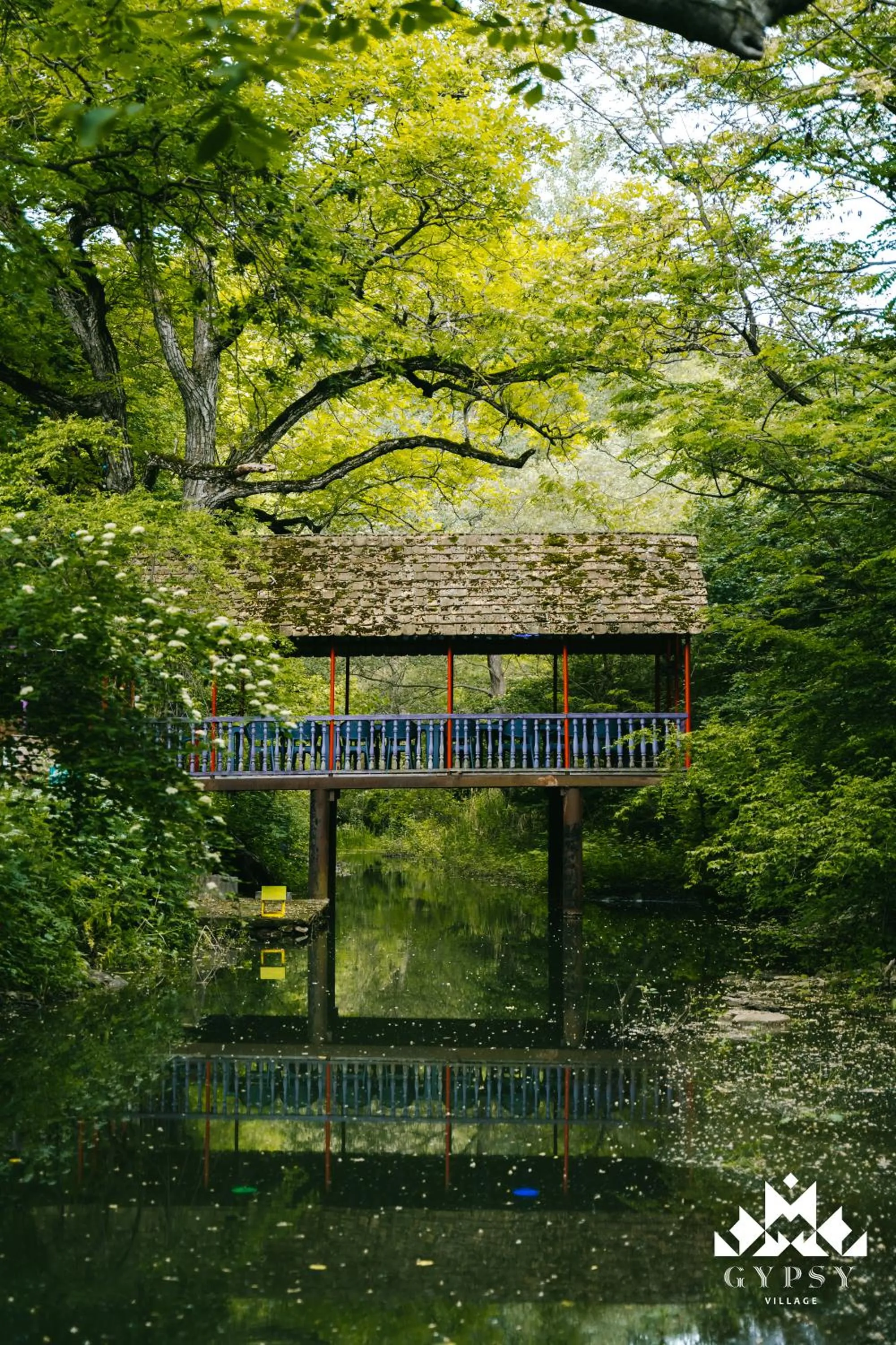Natural landscape in Gipsy Village Park Hotel