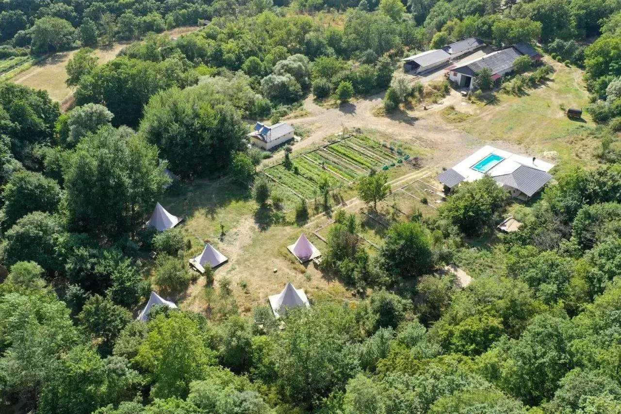 Property building in Gipsy Village Park Hotel Property building in Gipsy Village Park Hotel