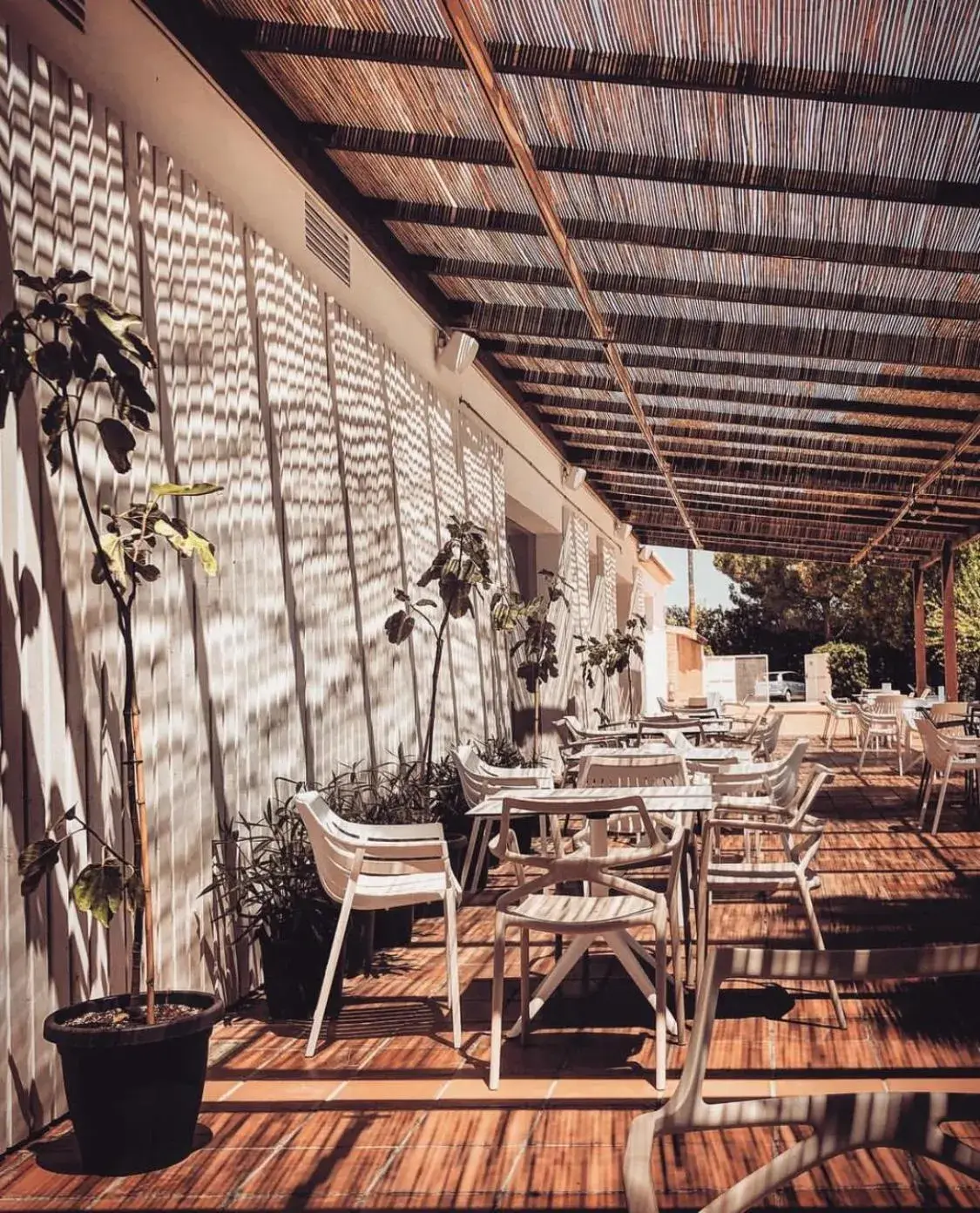 Lounge or bar in Tu&Me Resort - Adults Only Lounge or bar in Tu&Me Resort - Adults Only