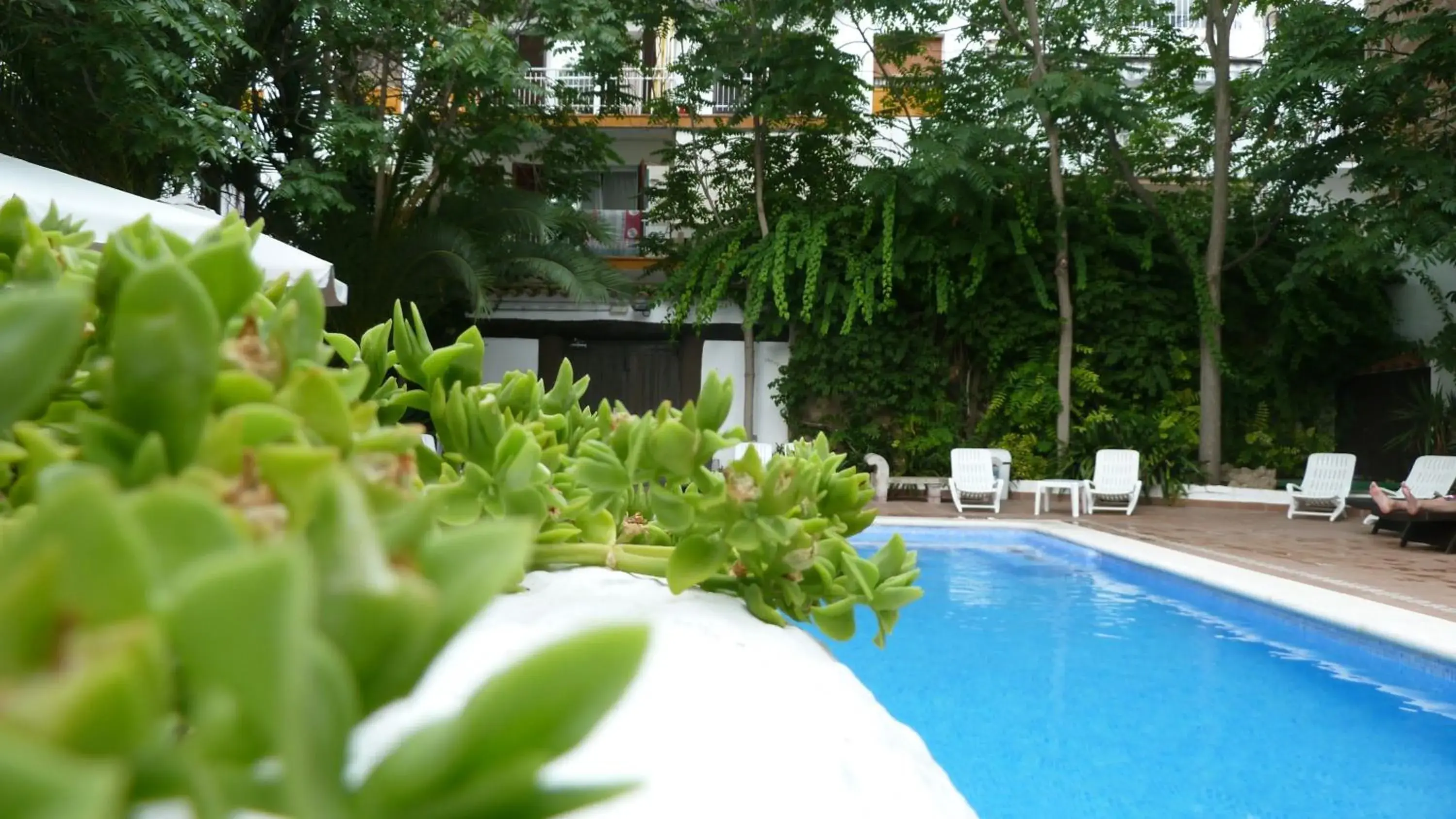 Swimming pool in Galeón Swimming pool in Galeón