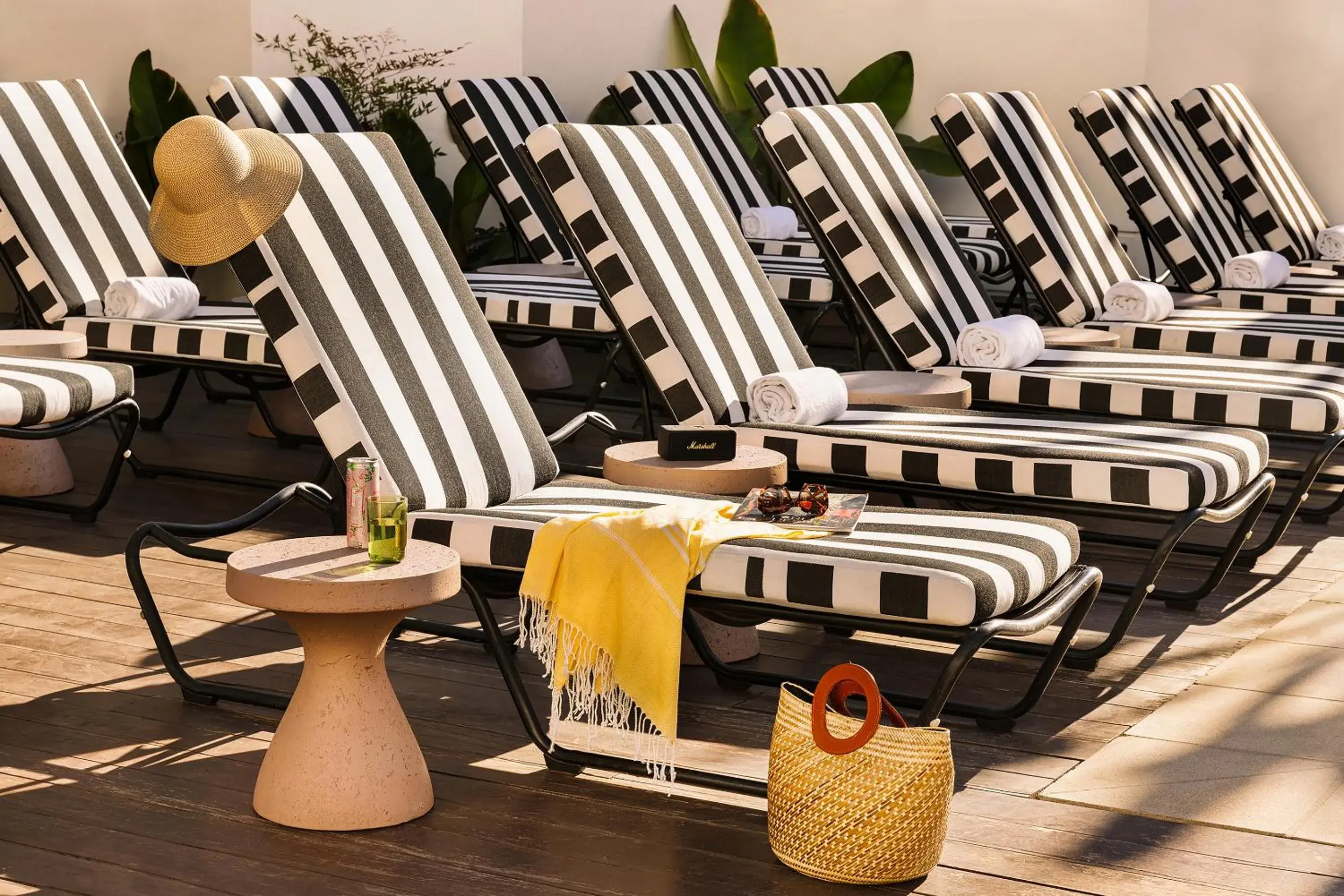 sunbed in The Eden sunbed in The Eden