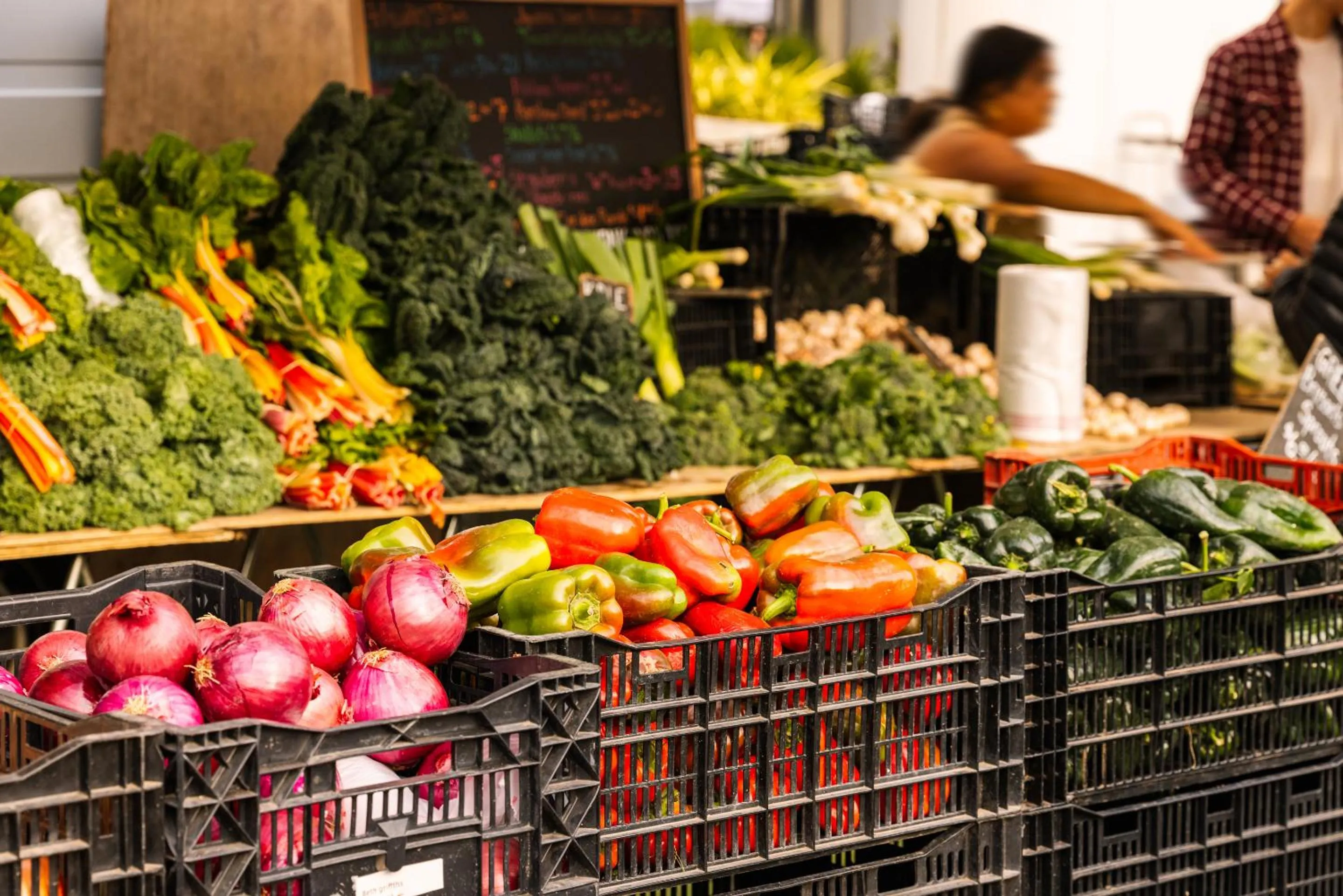 Shopping Area in The Eden