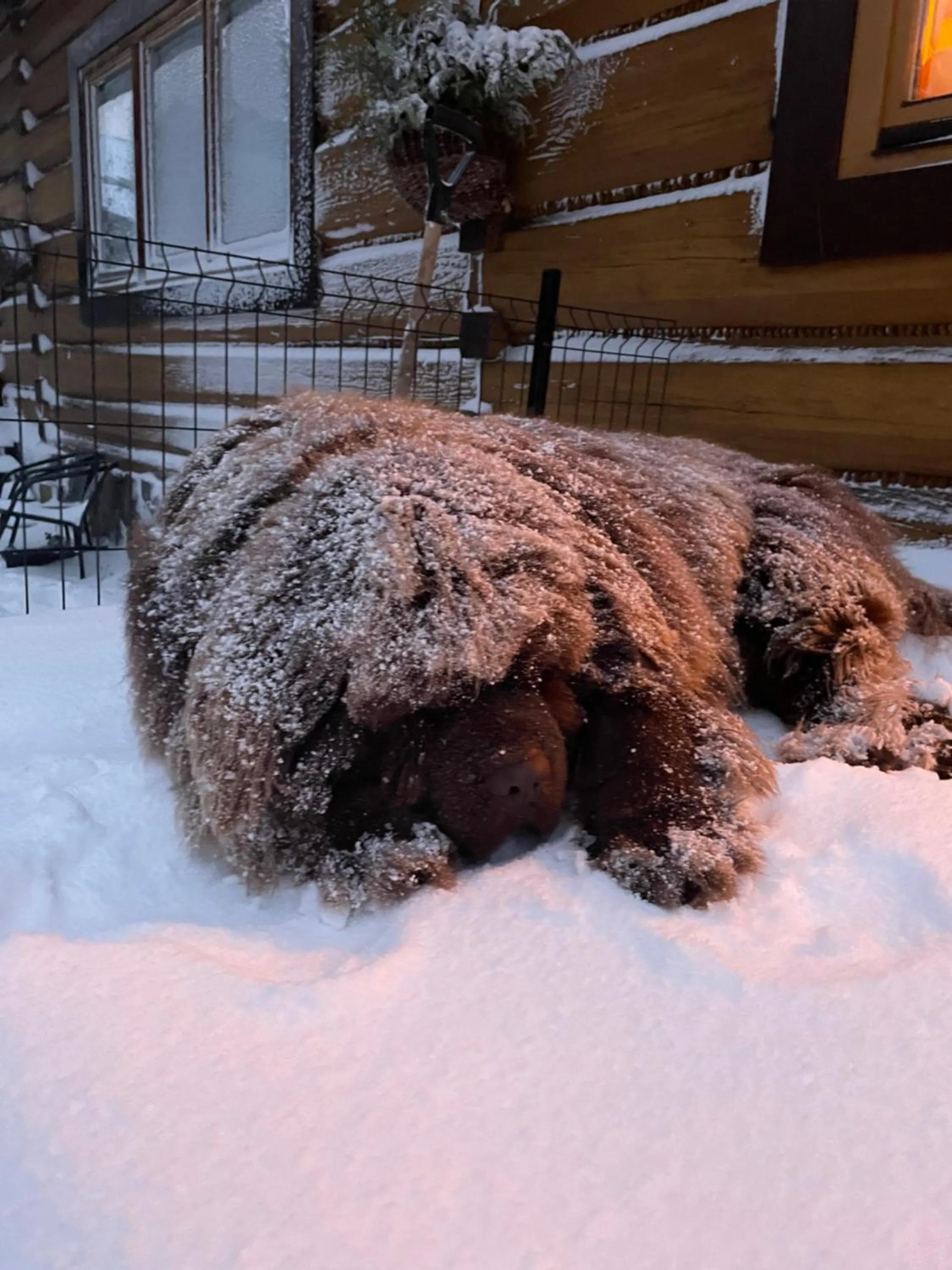 Winter in Apartament Stryszek Alpinistyczny