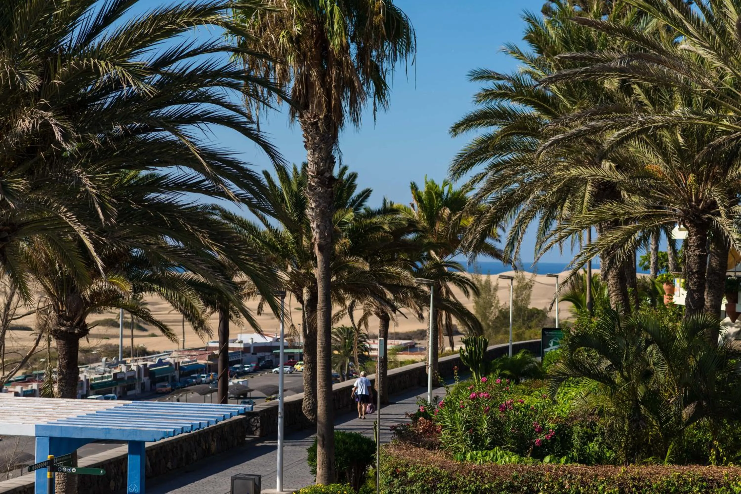 Natural landscape in Apartamentos El Paseo