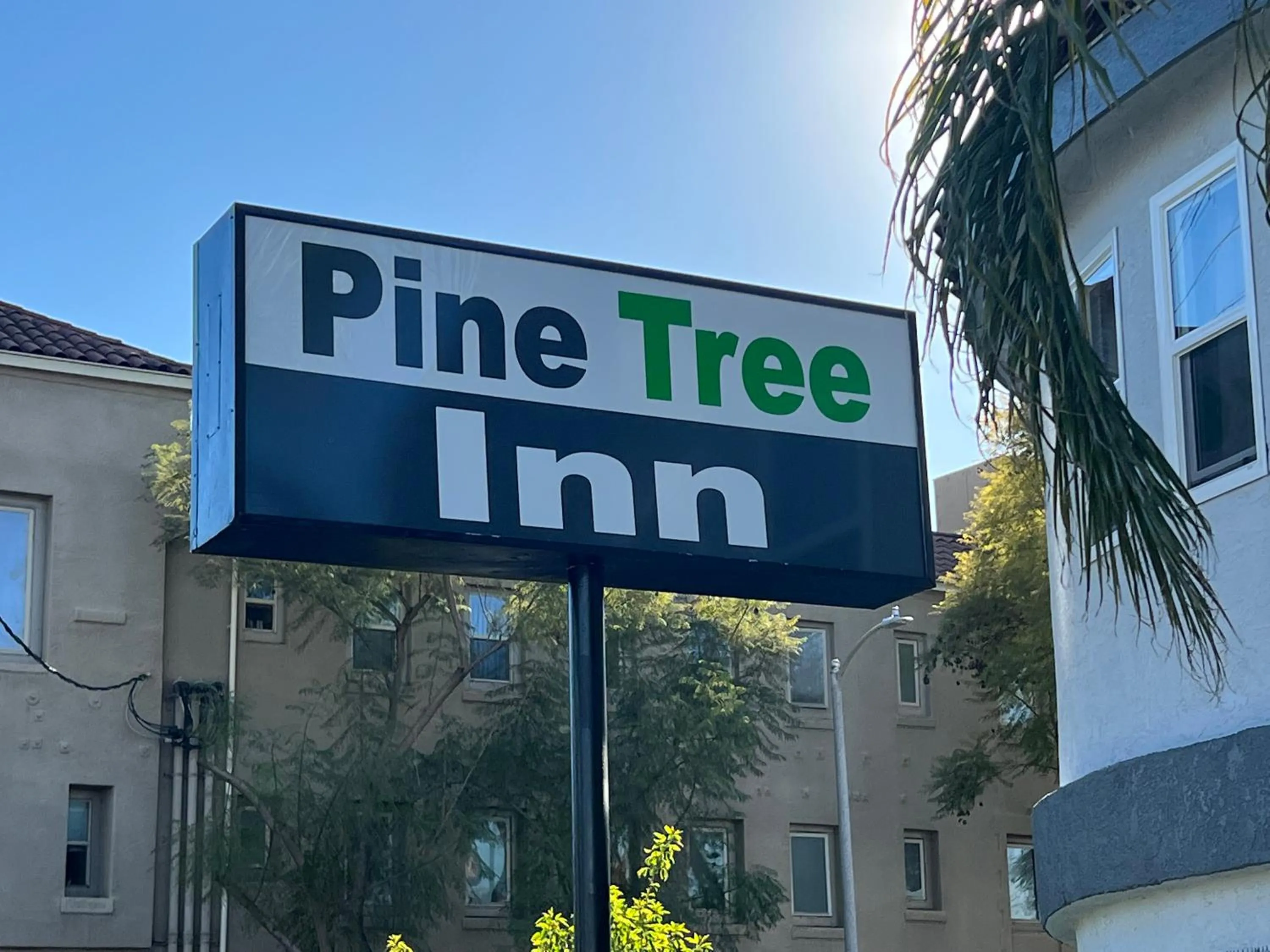 Property logo or sign in Pine tree inn