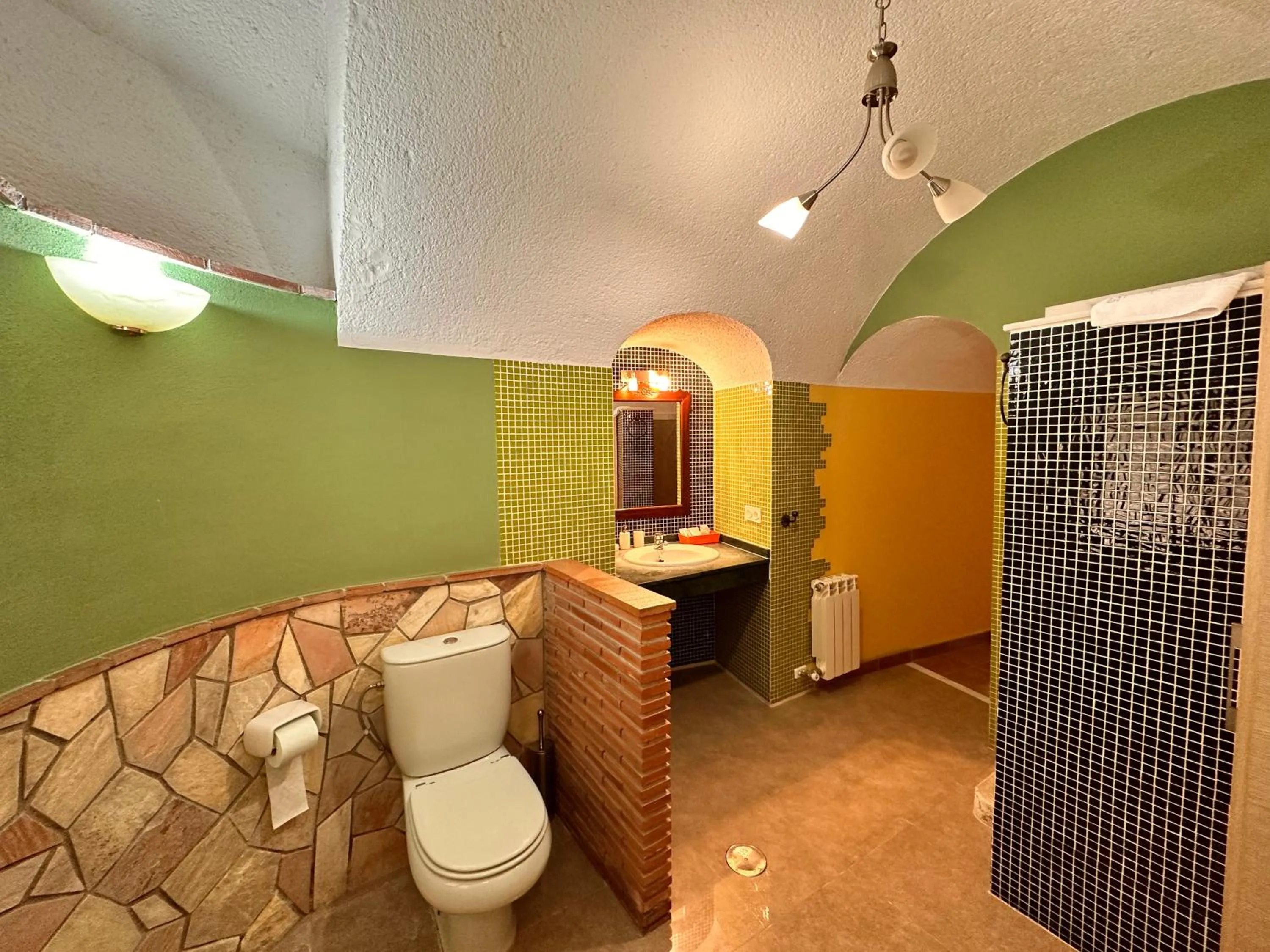 Toilet in Cuevas La Granja