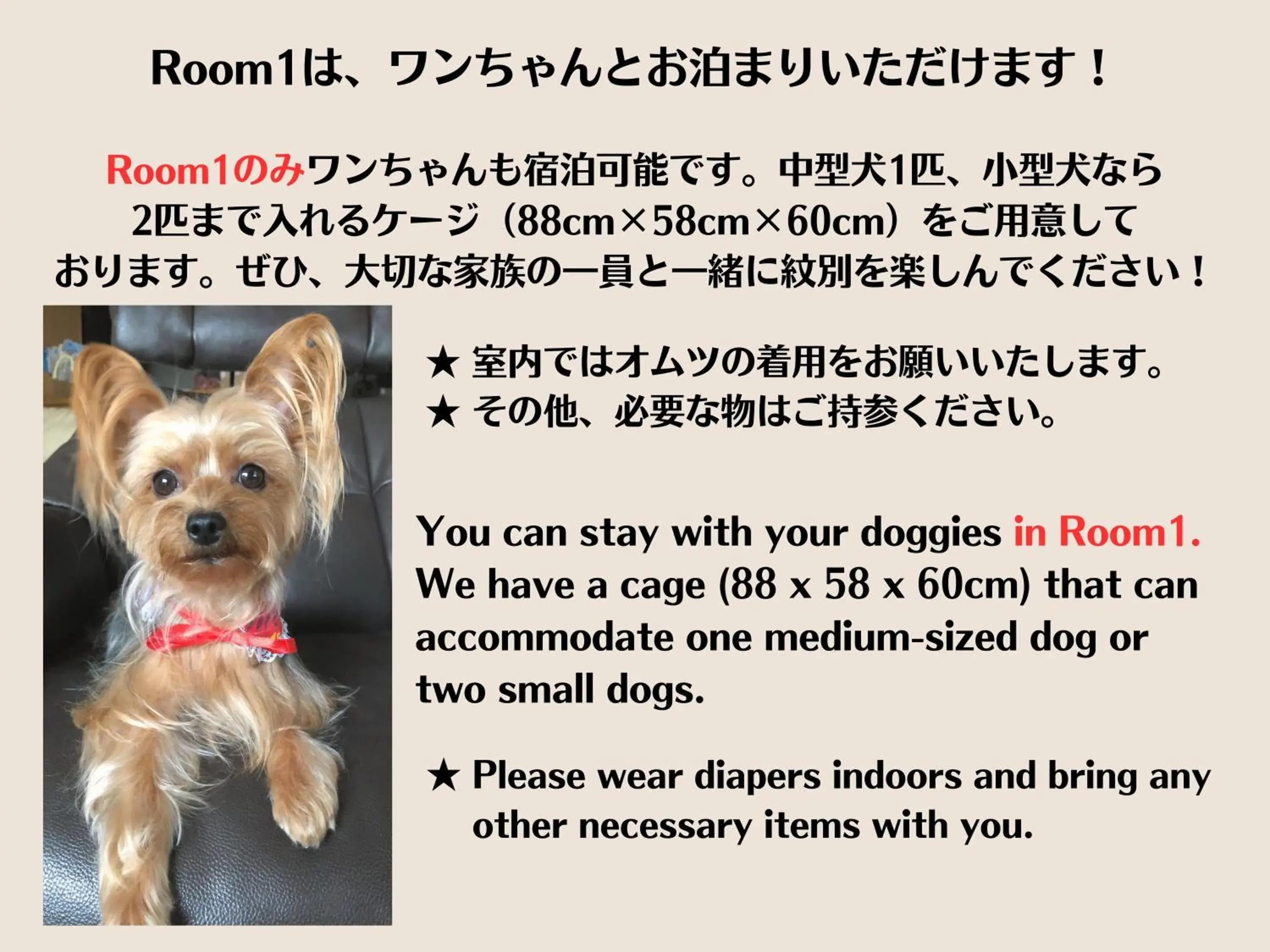 Family Room - Dog Friendly in Okhotsk Ocean Villa AL MARE mombetsu Family Room - Dog Friendly in Okhotsk Ocean Villa AL MARE mombetsu