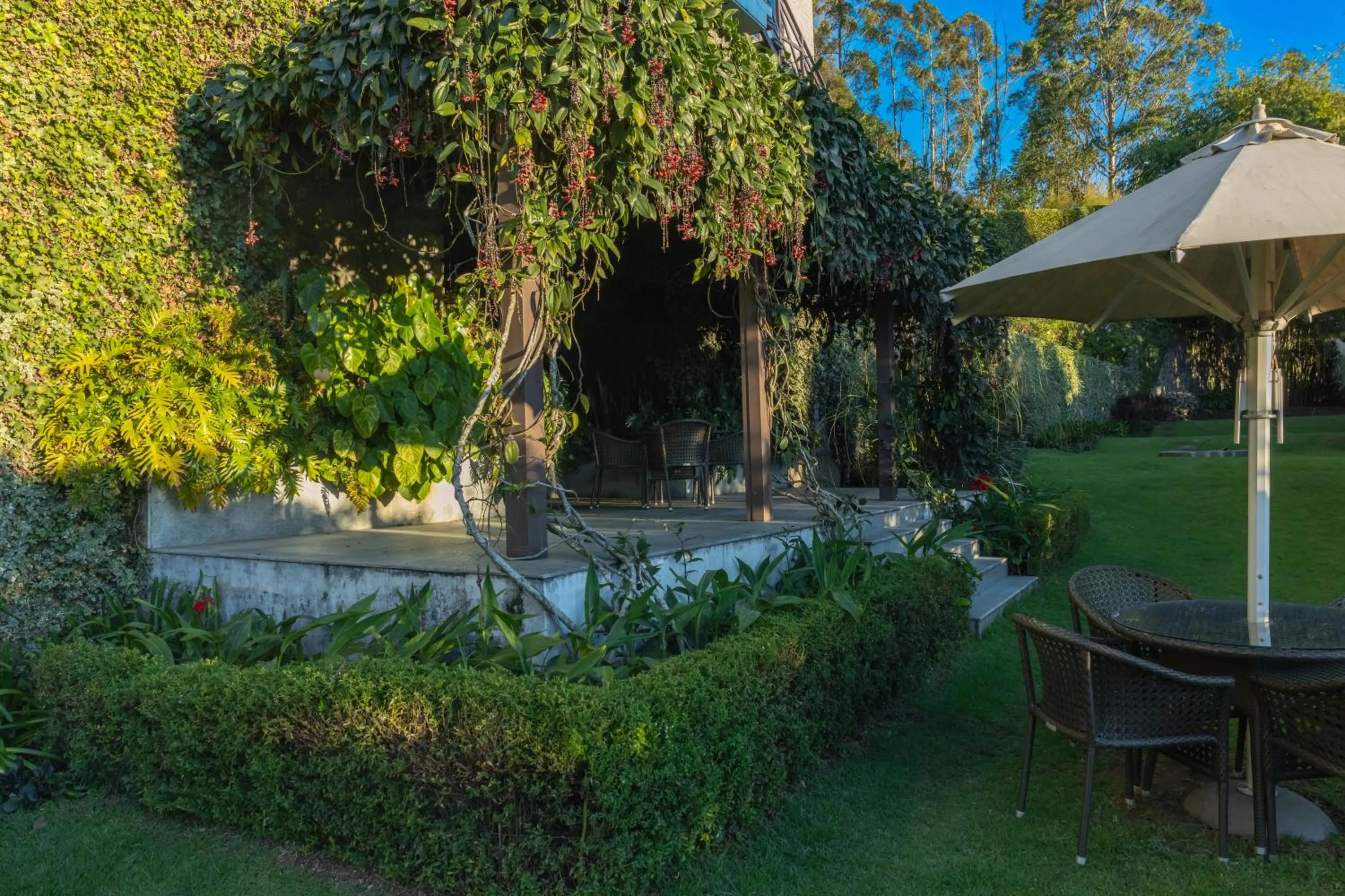 Balcony/Terrace in Dvara Luxury Resort Kodaikanal