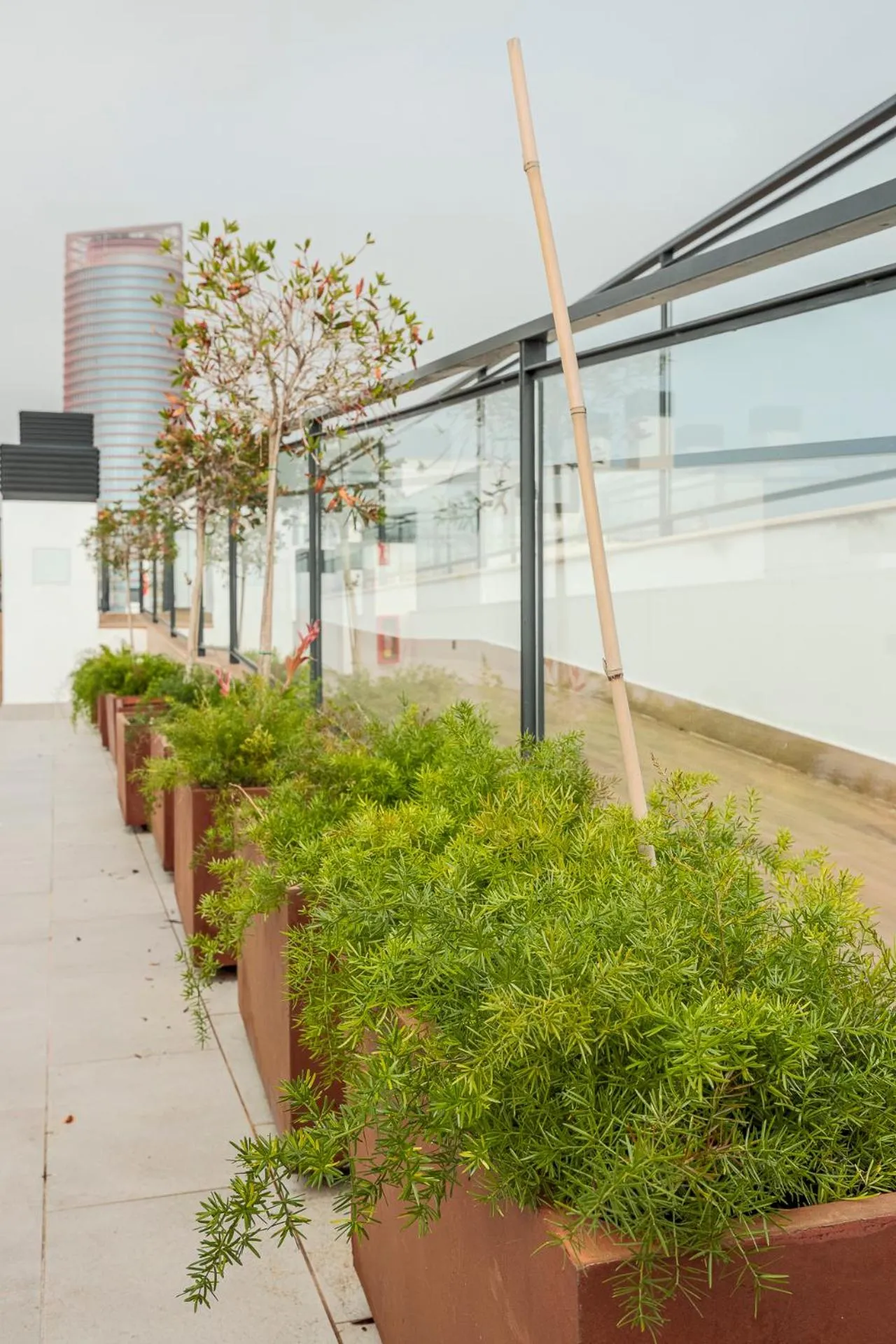 Garden in Uxama Sevilla Luxury Penthouse en Triana - Terraza y parking privados - piscina