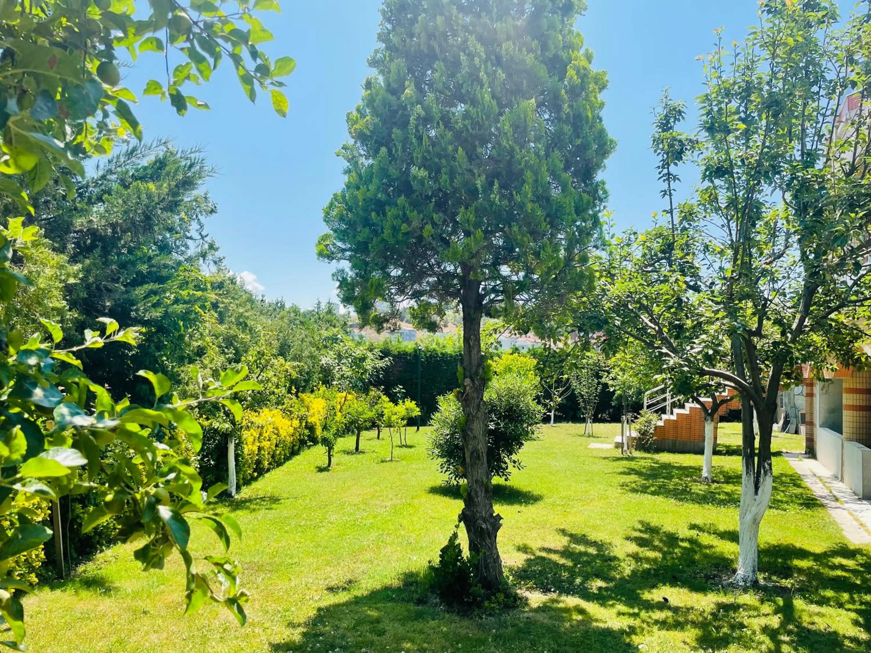 Spring in Istanbul Airport Treekos Suite Hotel