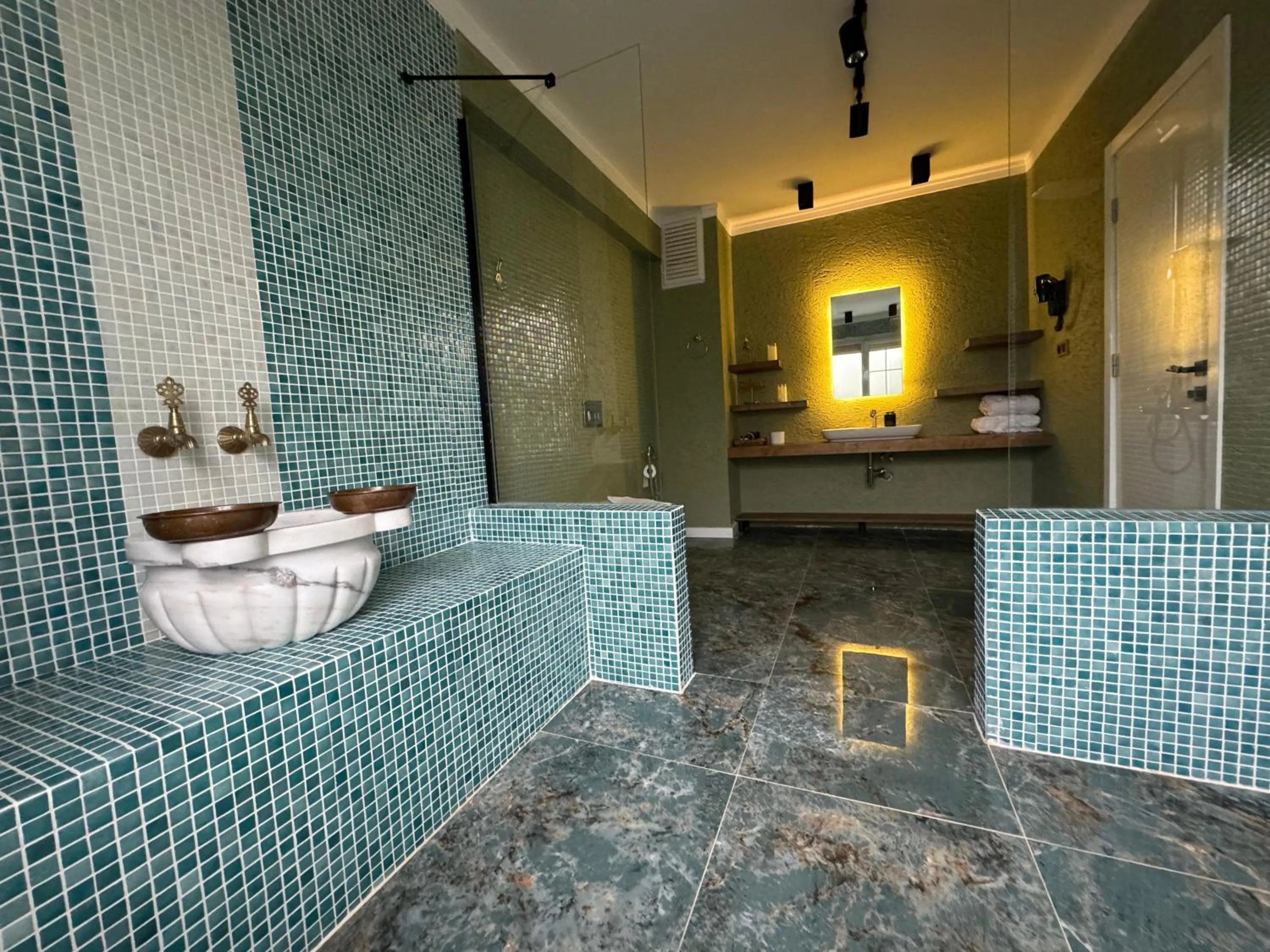 Toilet in Istanbul Airport Treekos Suite Hotel