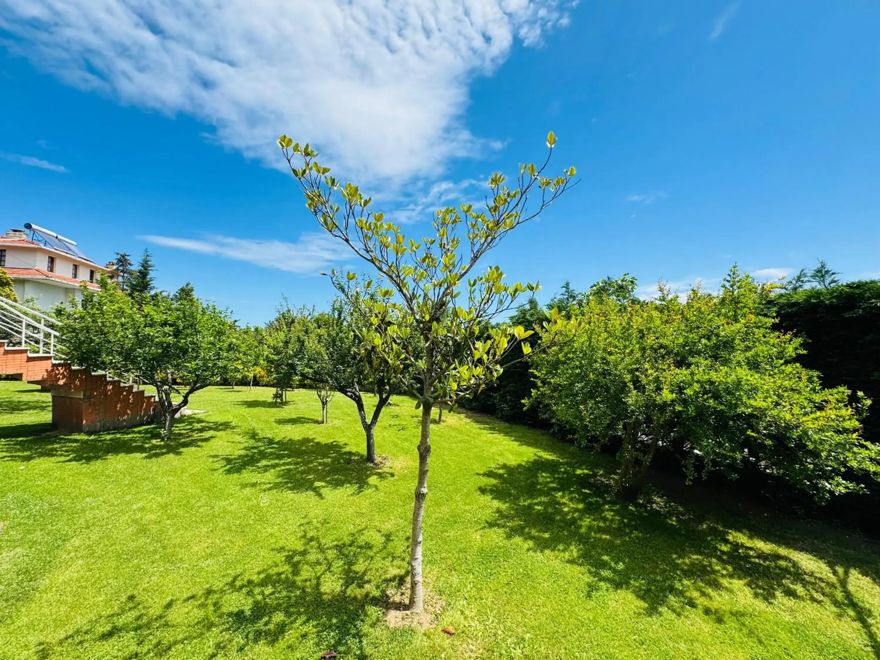 Property building in Istanbul Airport Treekos Suite Hotel Property building in Istanbul Airport Treekos Suite Hotel