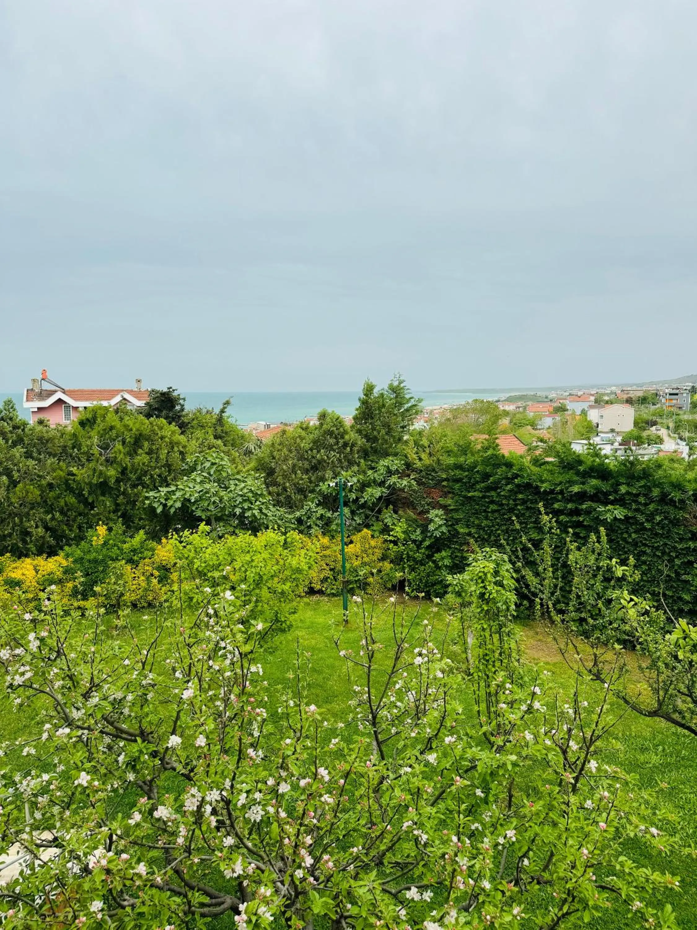 Spring in Istanbul Airport Treekos Suite Hotel