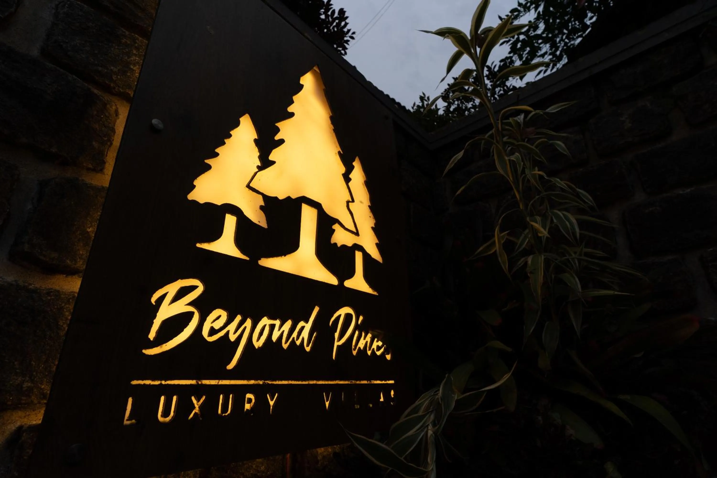 Night in Beyond Pines Vagamon