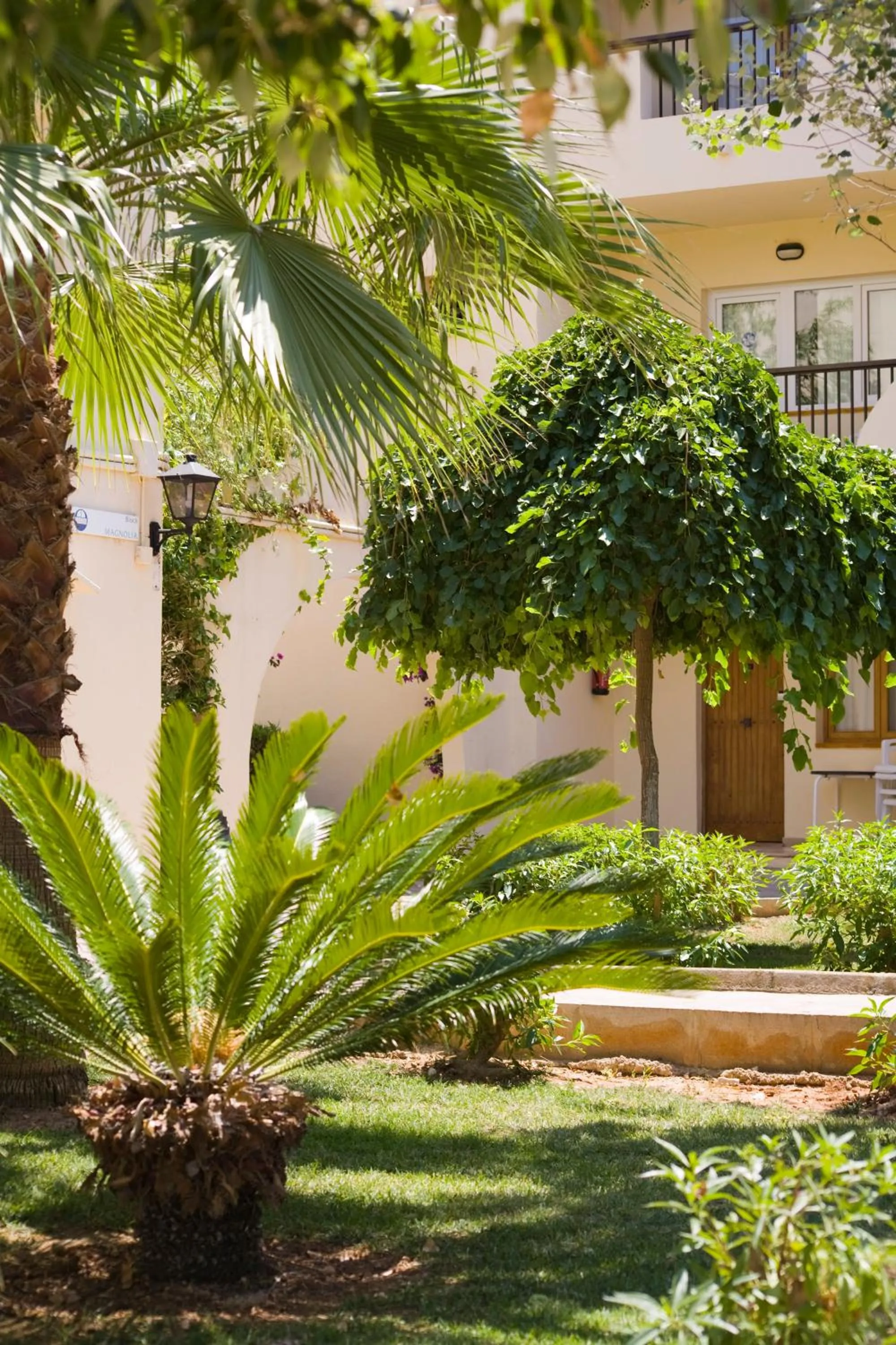 Garden in Globales Bouganvilla