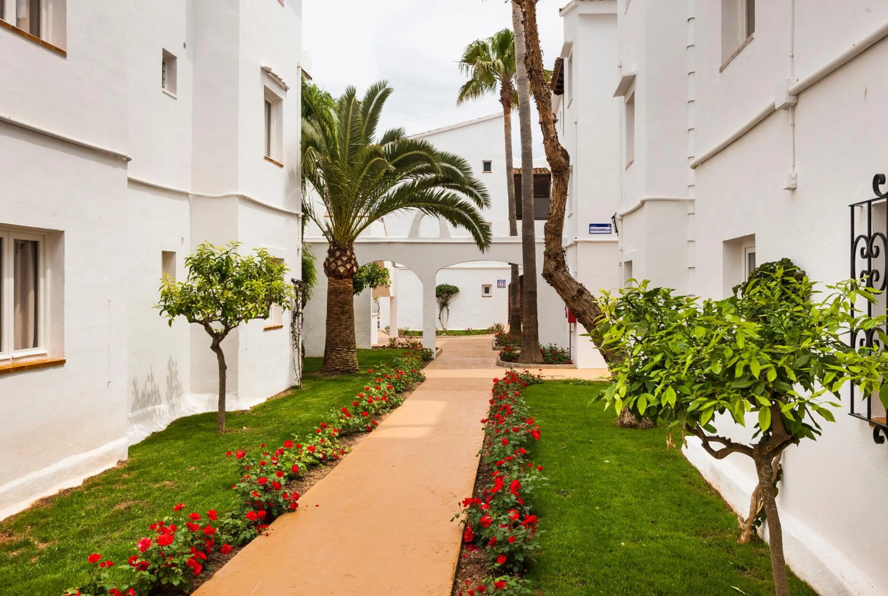 Garden in Globales Bouganvilla