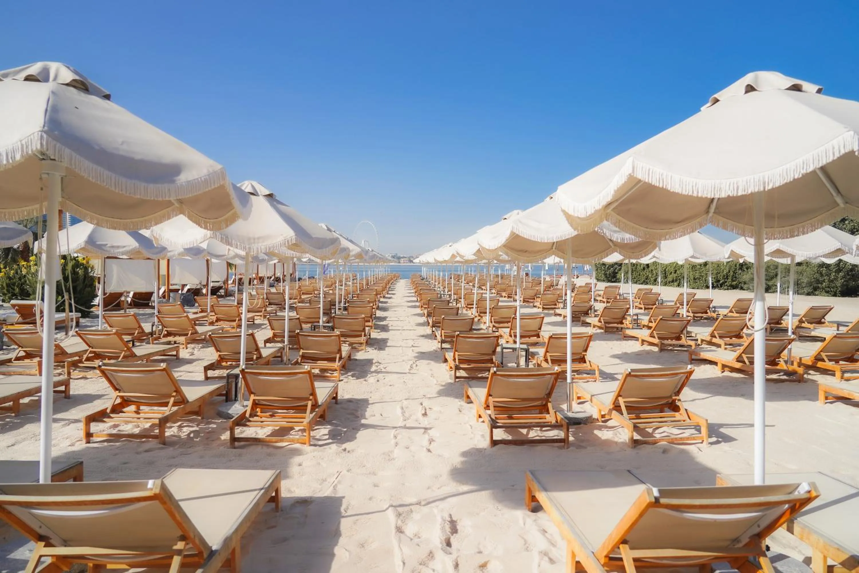 Beach in NH Collection Dubai The Palm