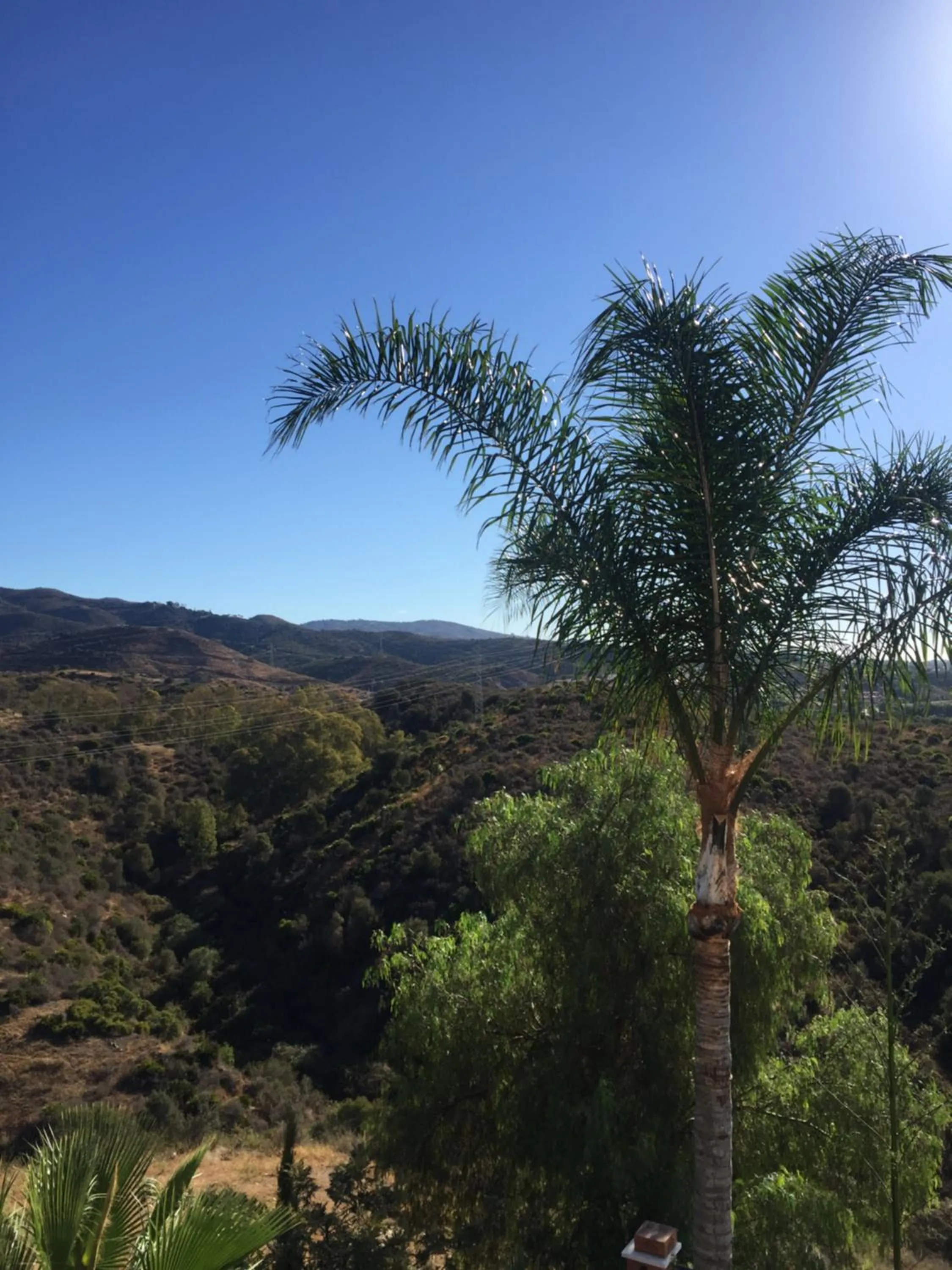 Day in The Marbella Heights Boutique Hotel