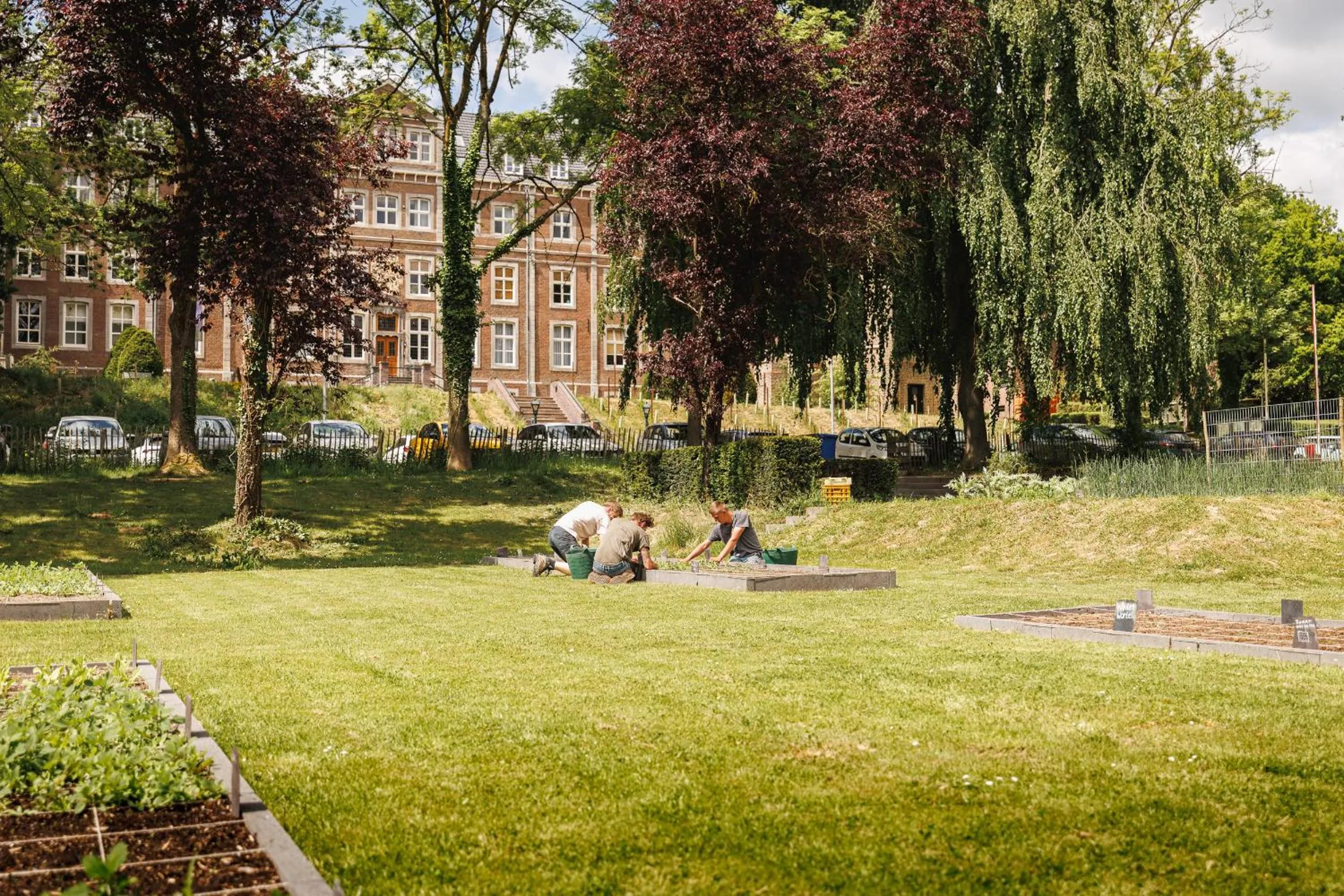 Garden in SEPHS Hotel Sittard
