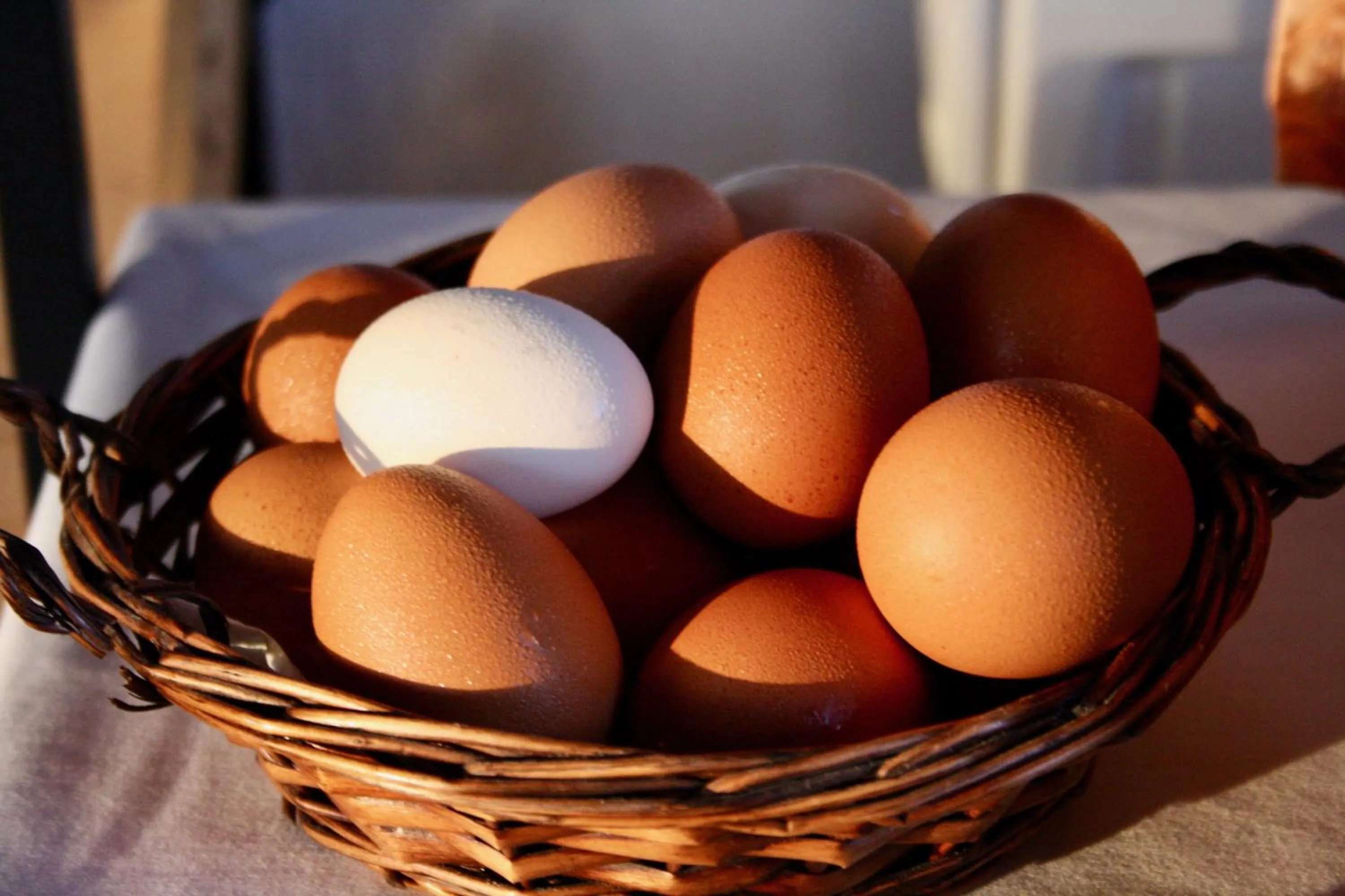 Breakfast in Hotel Rural La Paloma