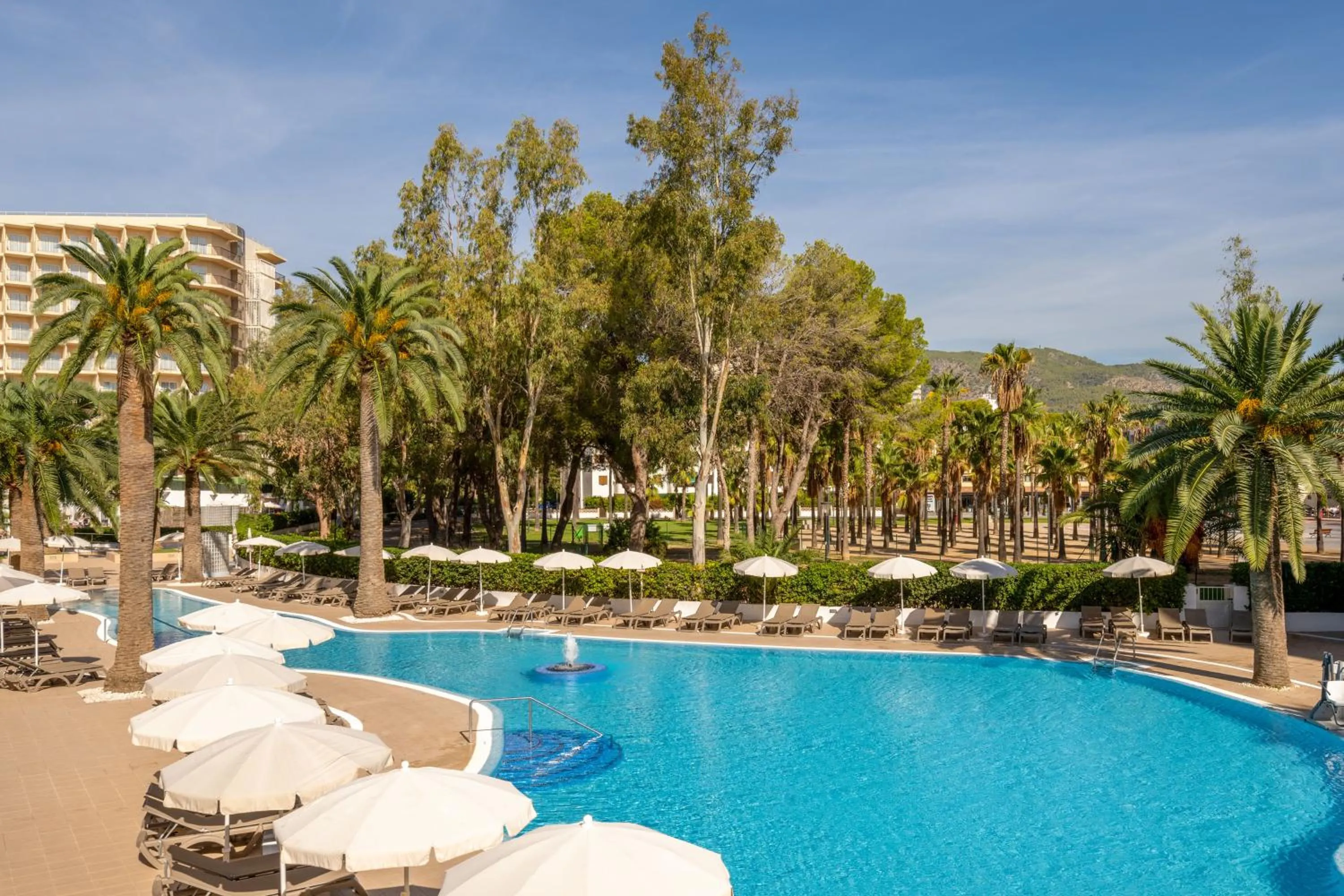 Solarium in Sol Palmanova Mallorca