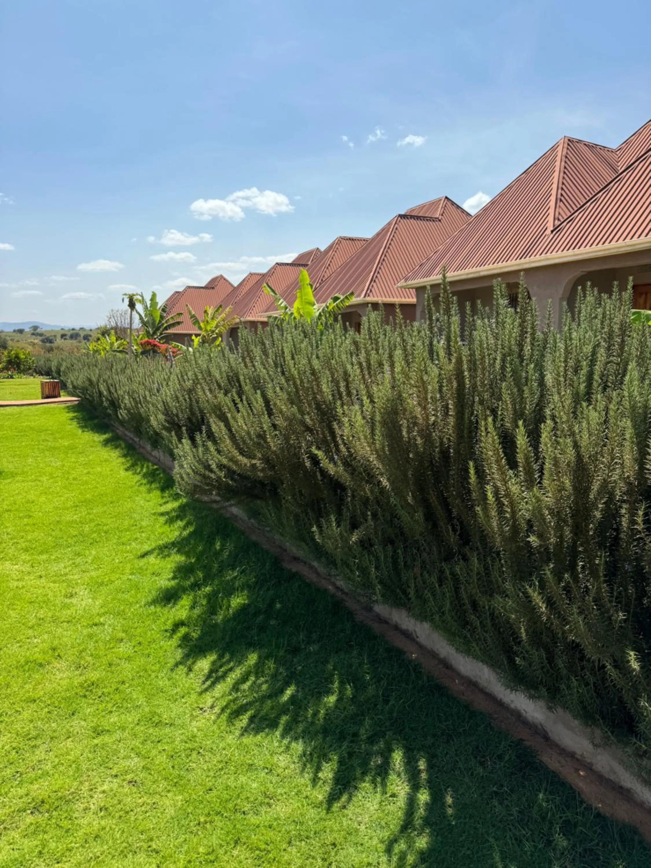 Property building in Heart and Soul Lodge