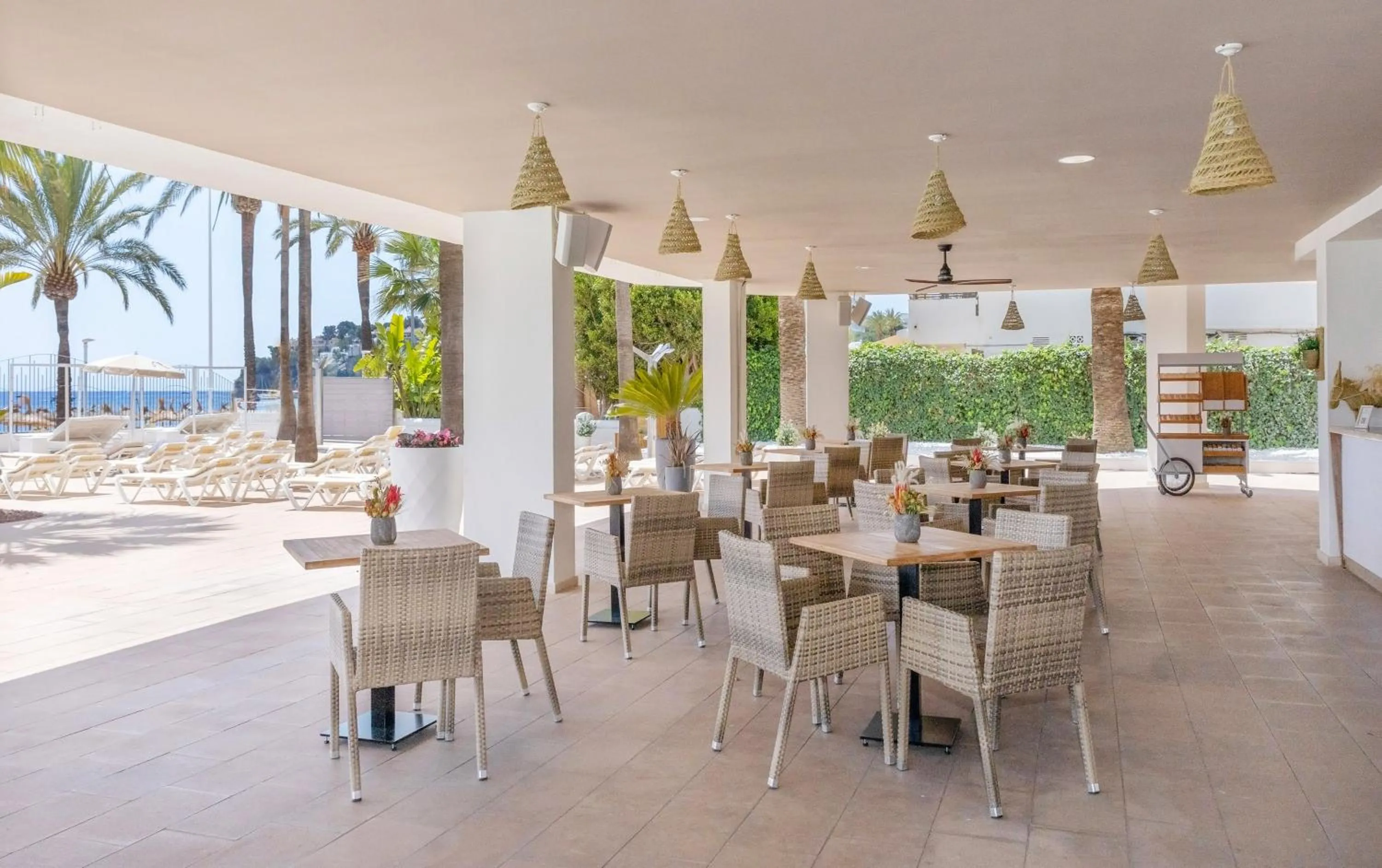 Restaurant/places to eat in Sol House The Studio - Calviá Beach - Adults Only